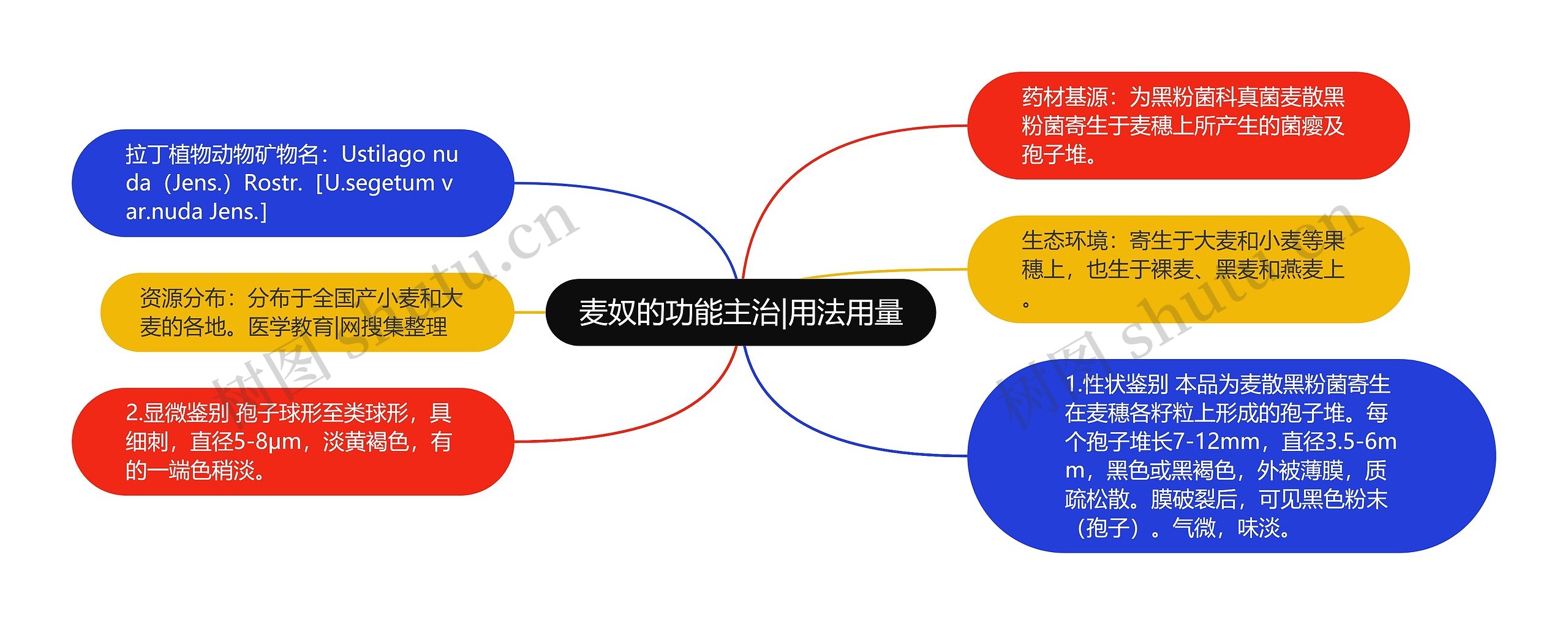 麦奴的功能主治|用法用量思维导图