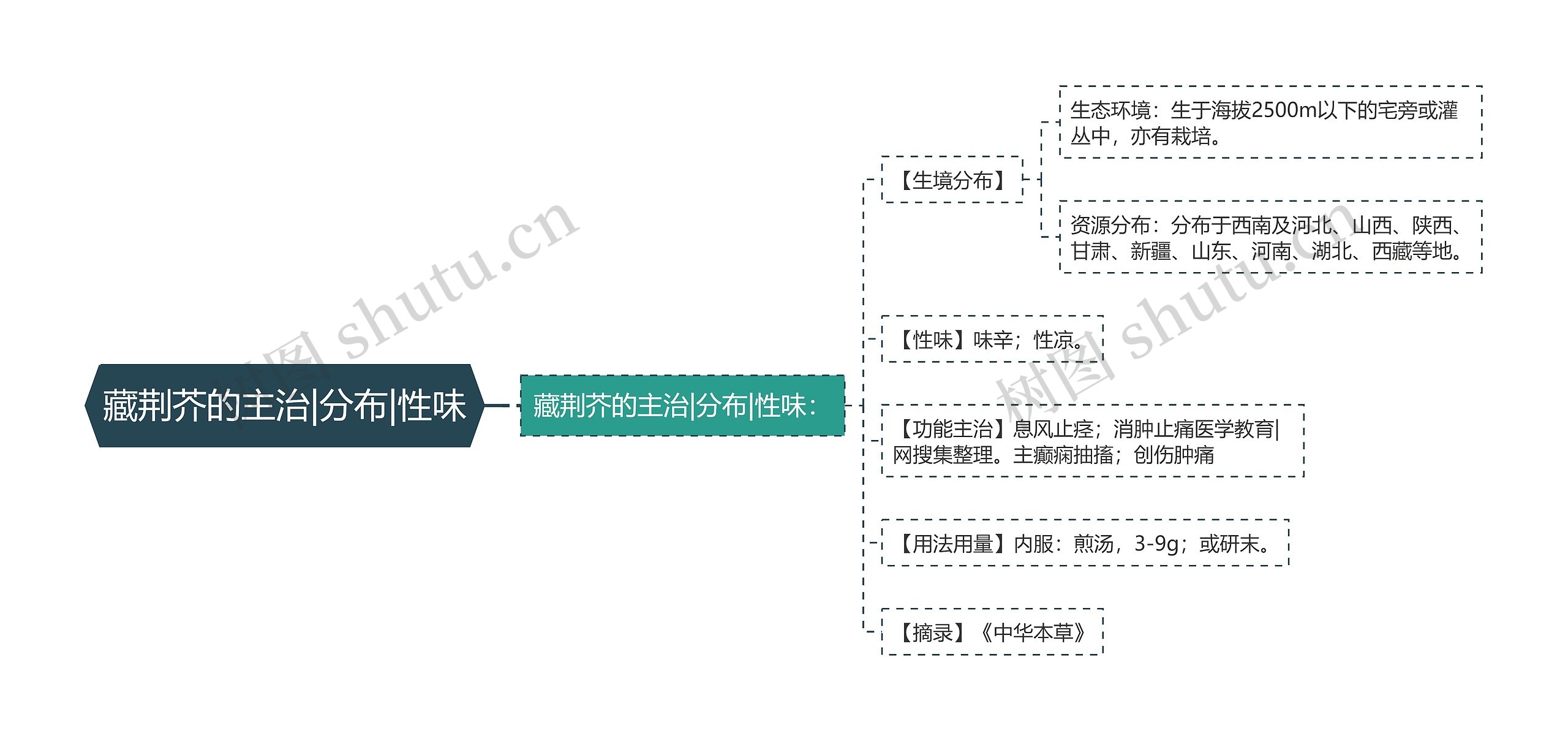 藏荆芥的主治|分布|性味思维导图