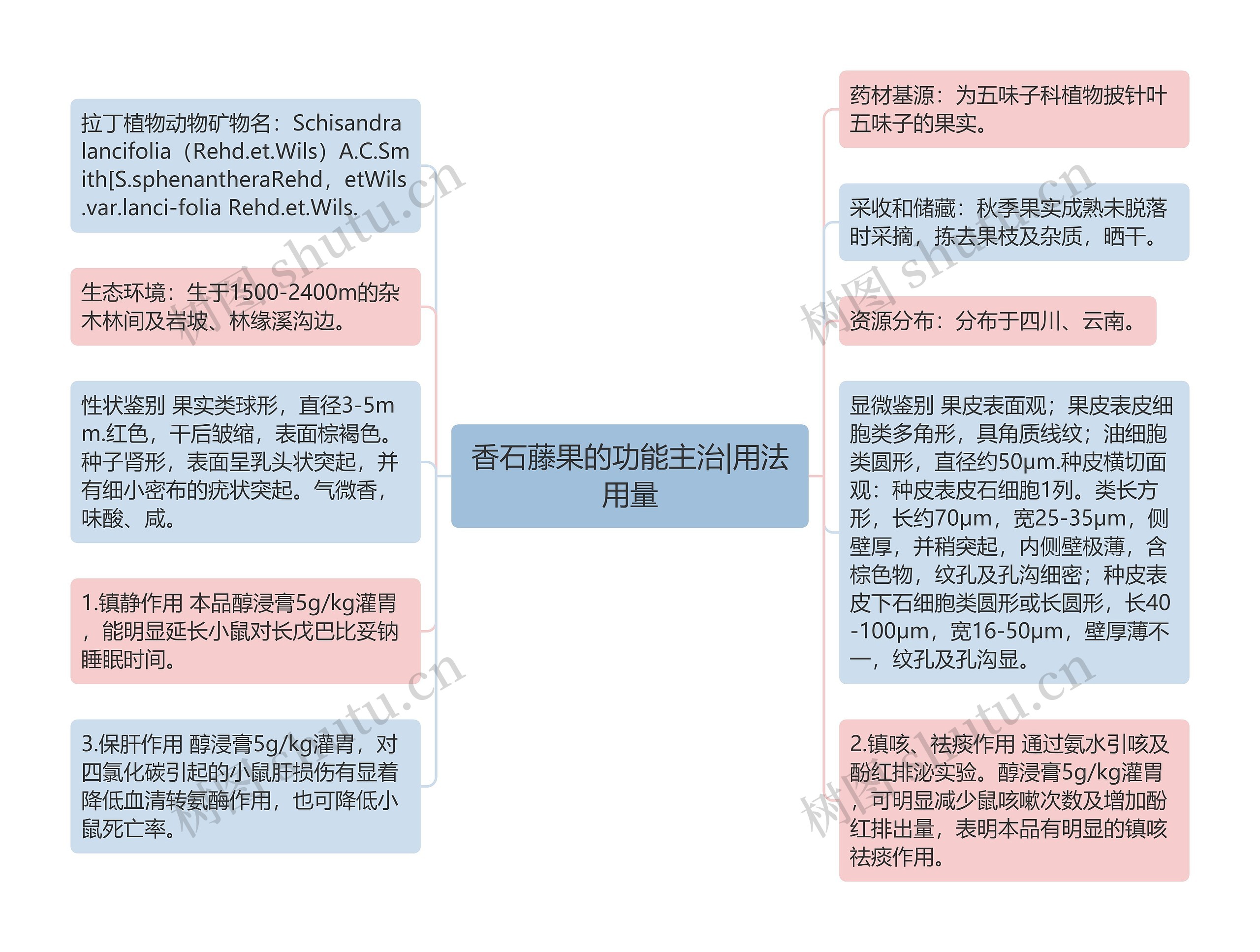 香石藤果的功能主治|用法用量思维导图