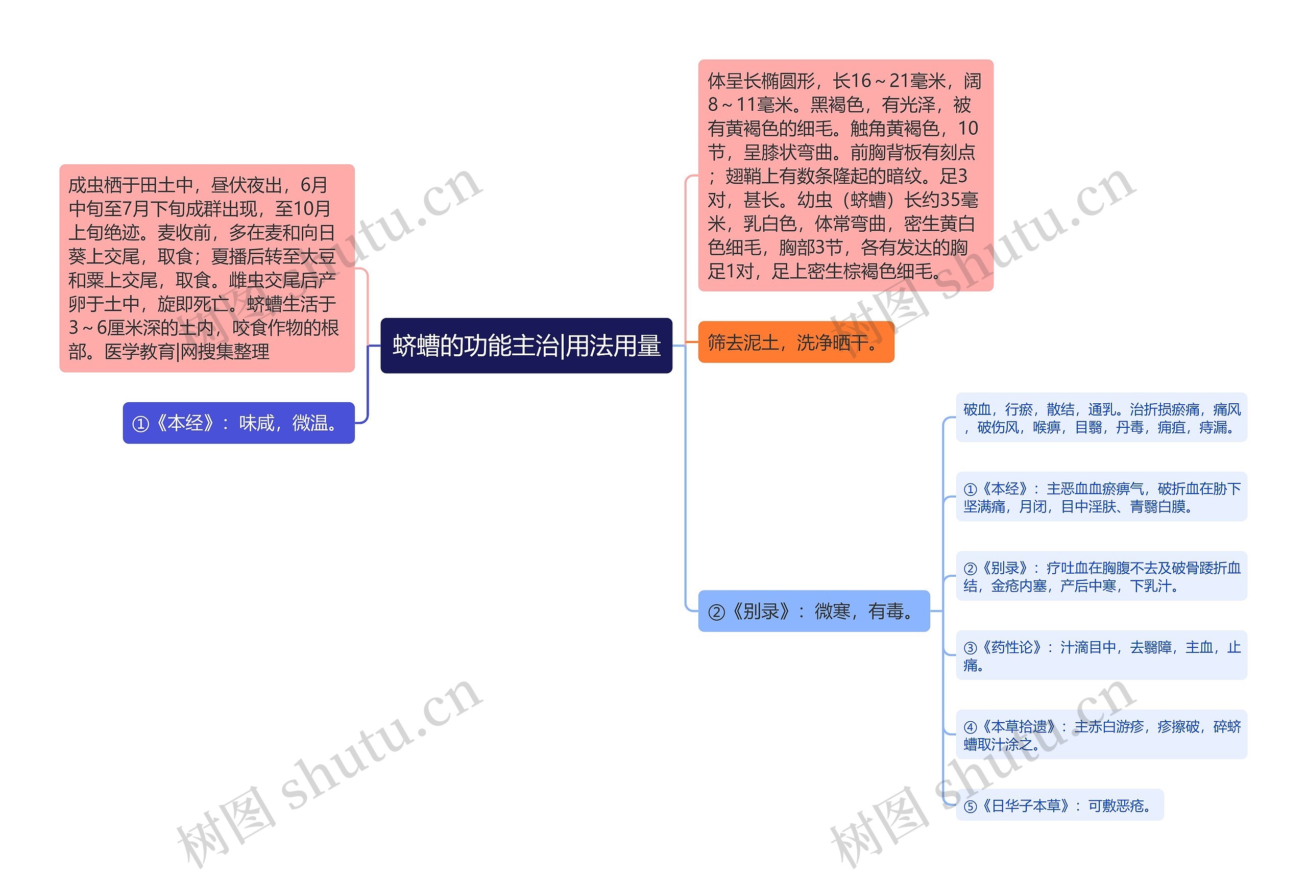 蛴螬的功能主治|用法用量