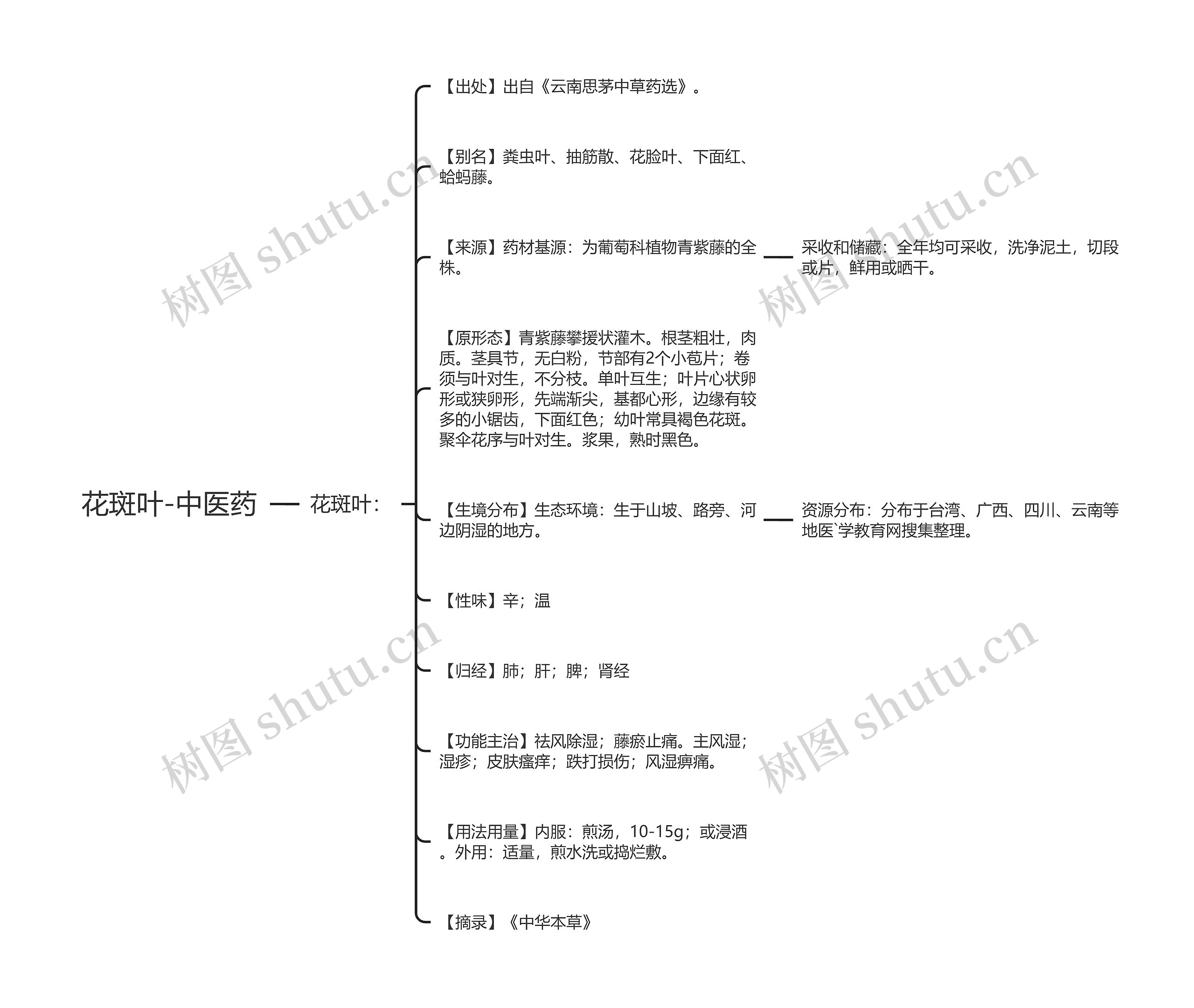 花斑叶-中医药 花斑叶-中医药