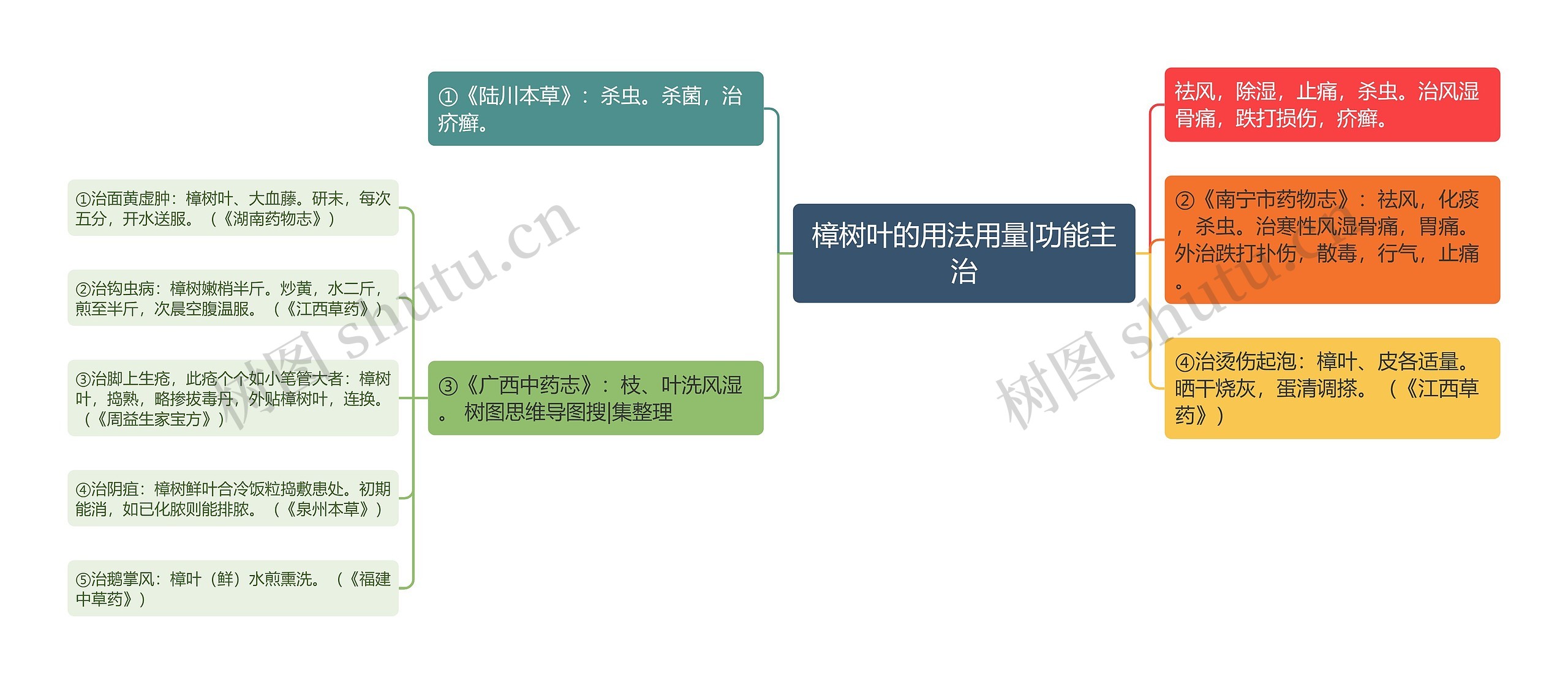 樟树叶的用法用量|功能主治思维导图