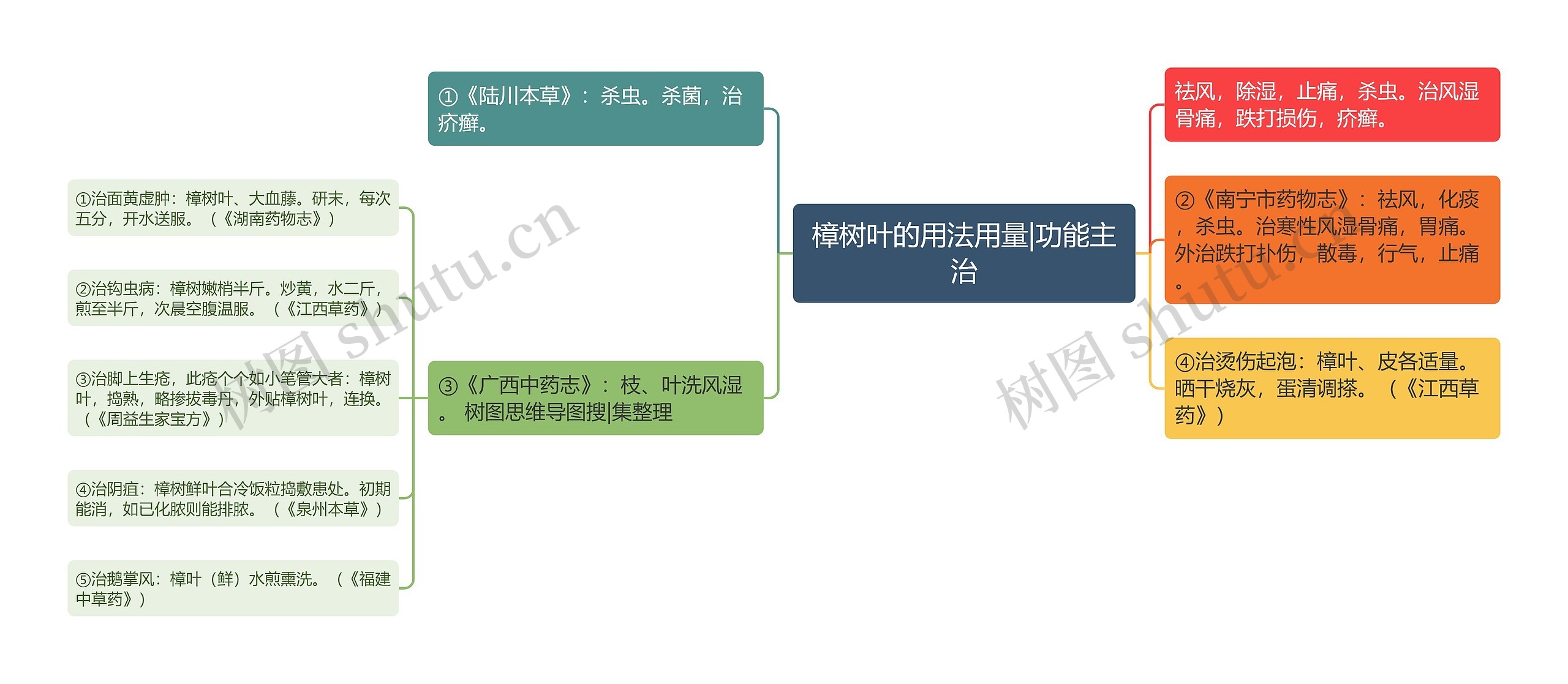 樟树叶的用法用量|功能主治 樟树叶的用法用量|功能主治