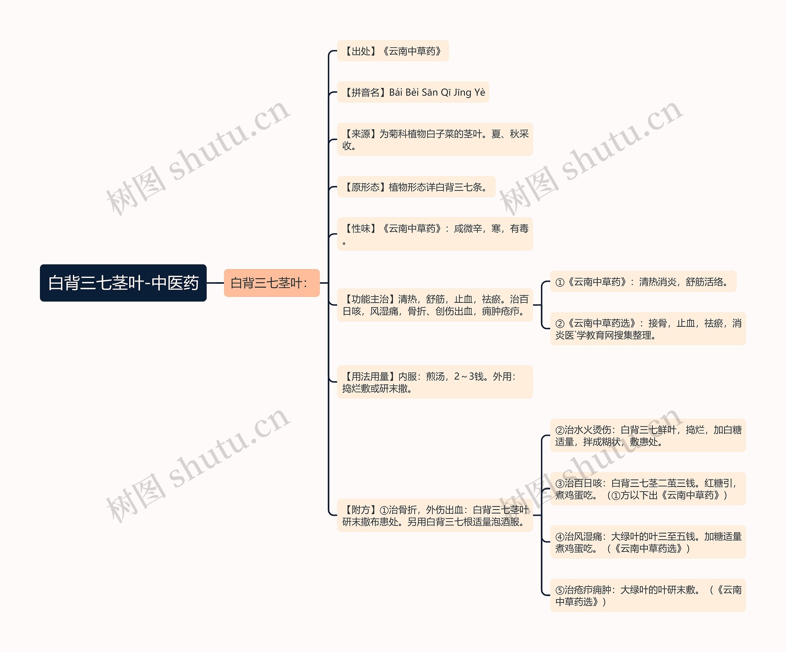 白背三七茎叶-中医药思维导图