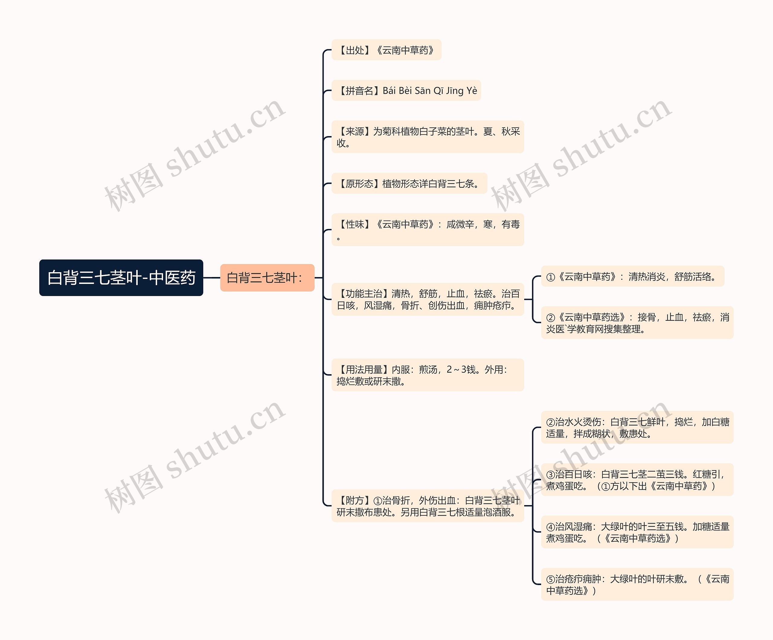 白背三七茎叶-中医药 白背三七茎叶-中医药