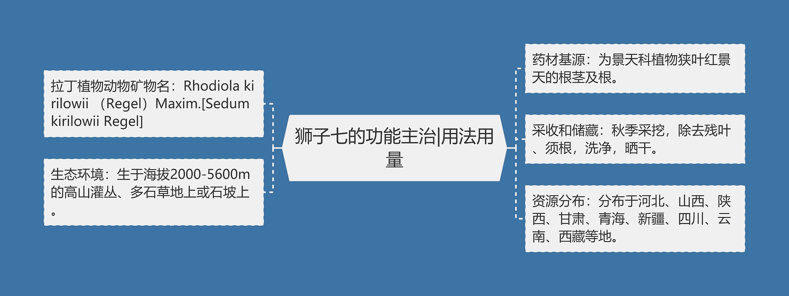 狮子七的功能主治|用法用量思维导图