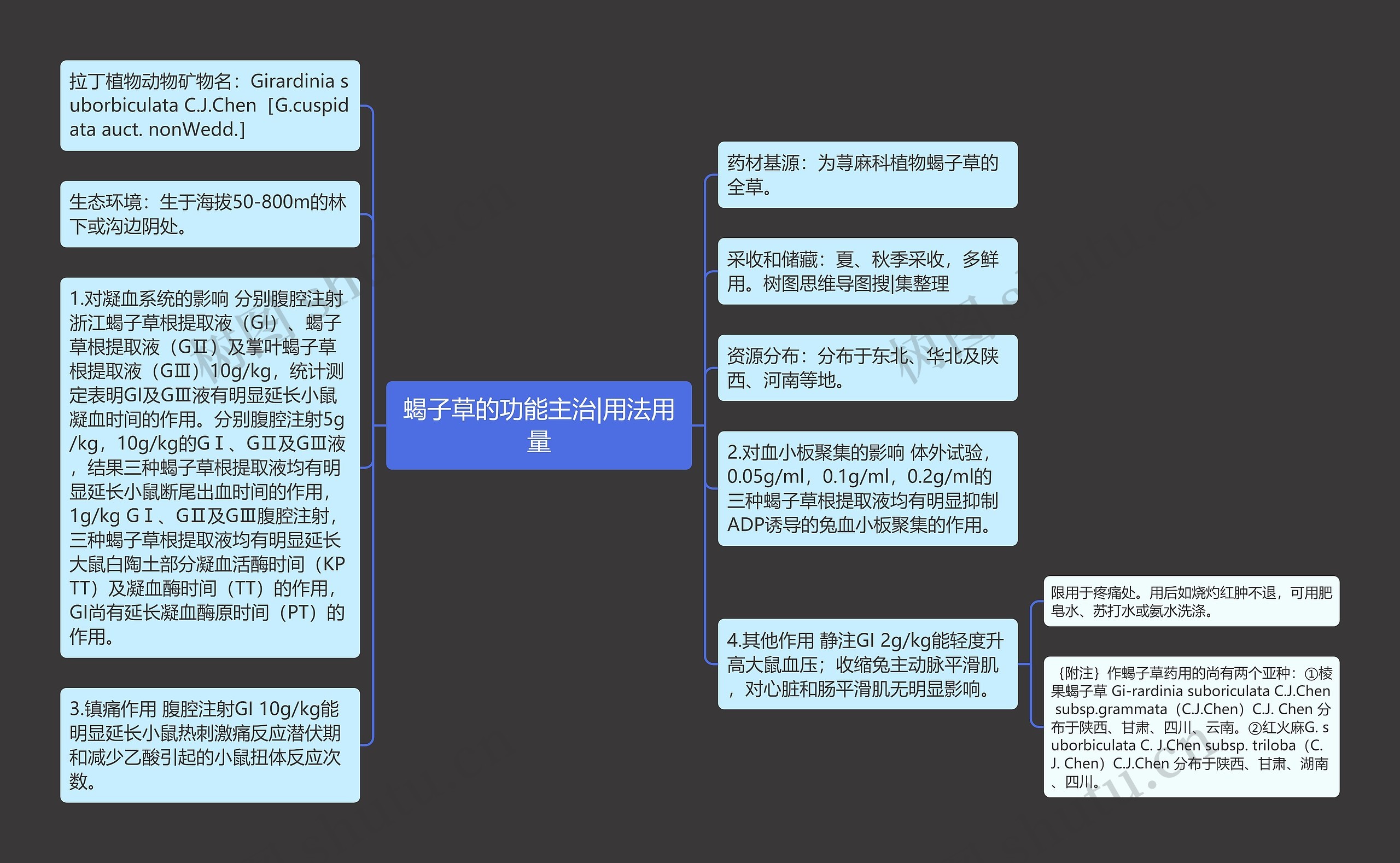 蝎子草的功能主治|用法用量