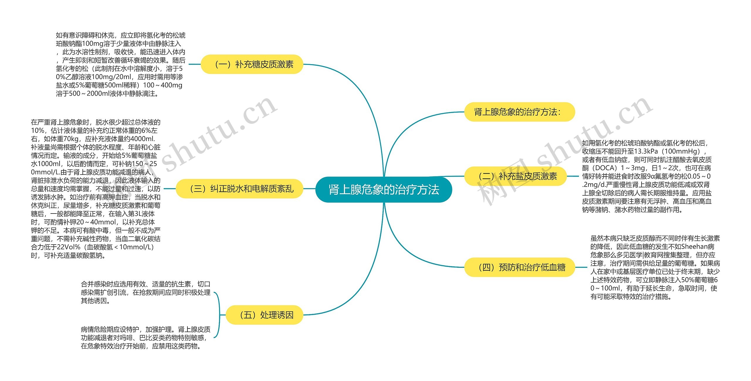 肾上腺危象的治疗方法思维导图