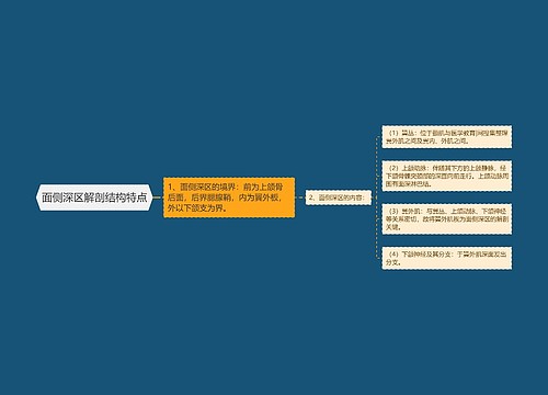 面侧深区解剖结构特点