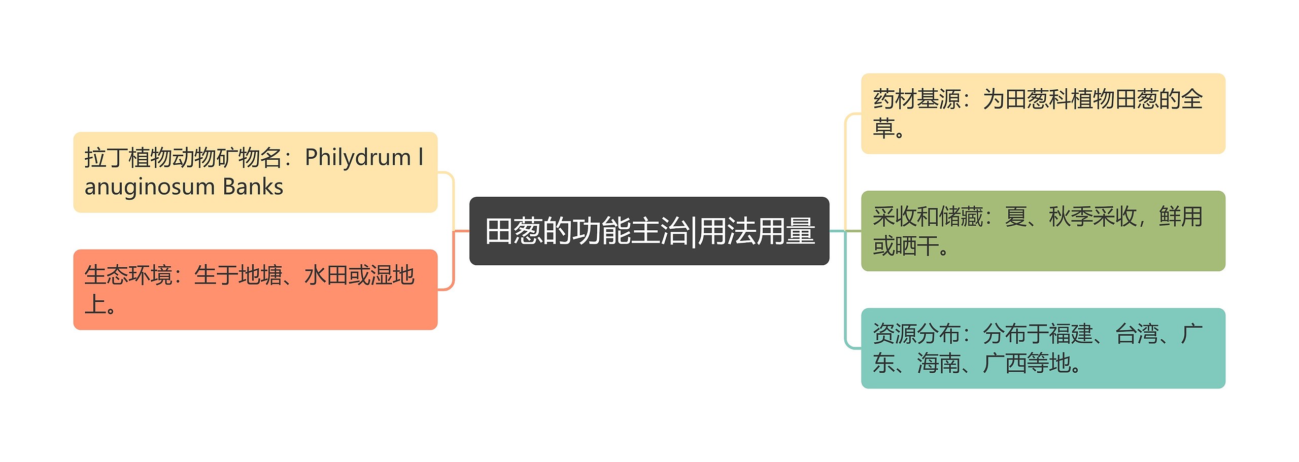 田葱的功能主治|用法用量思维导图