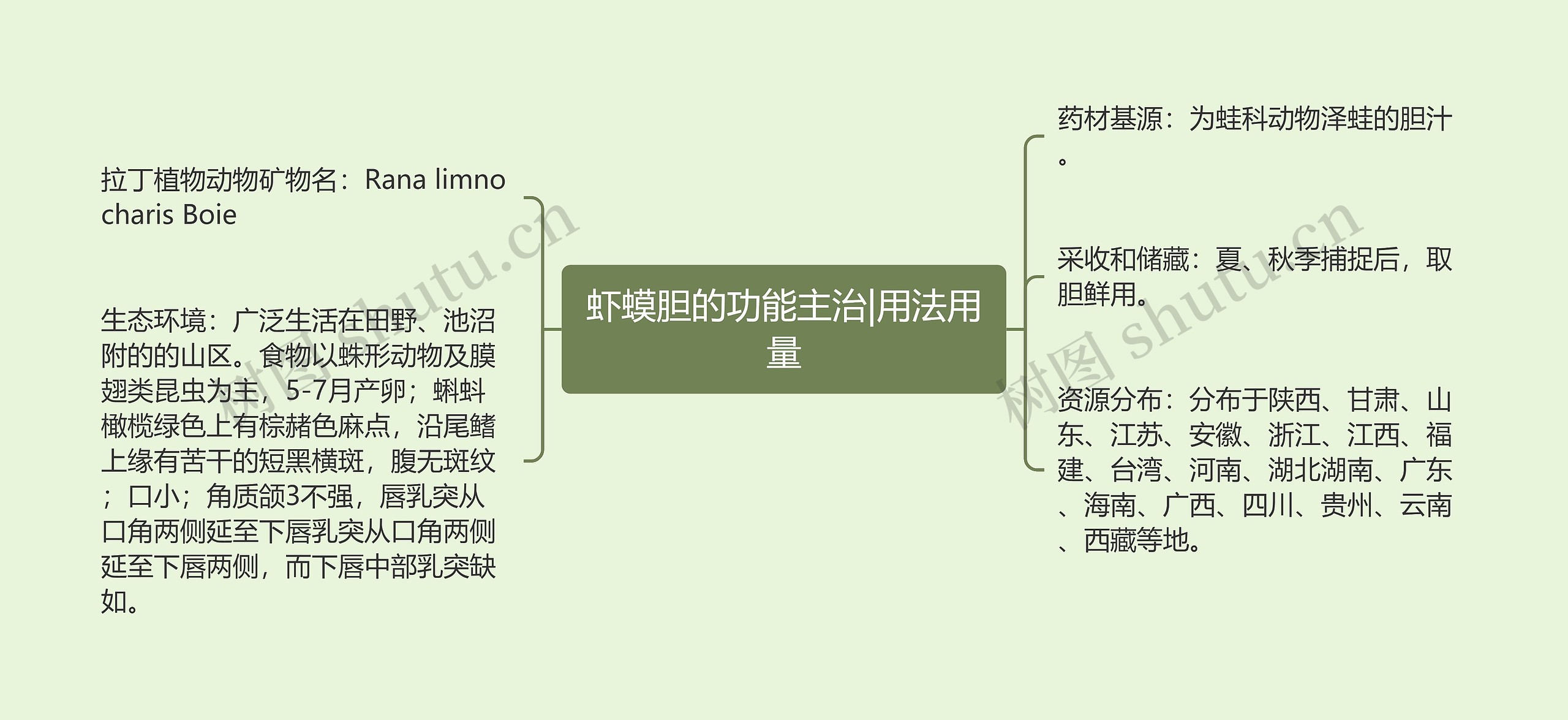 虾蟆胆的功能主治|用法用量思维导图