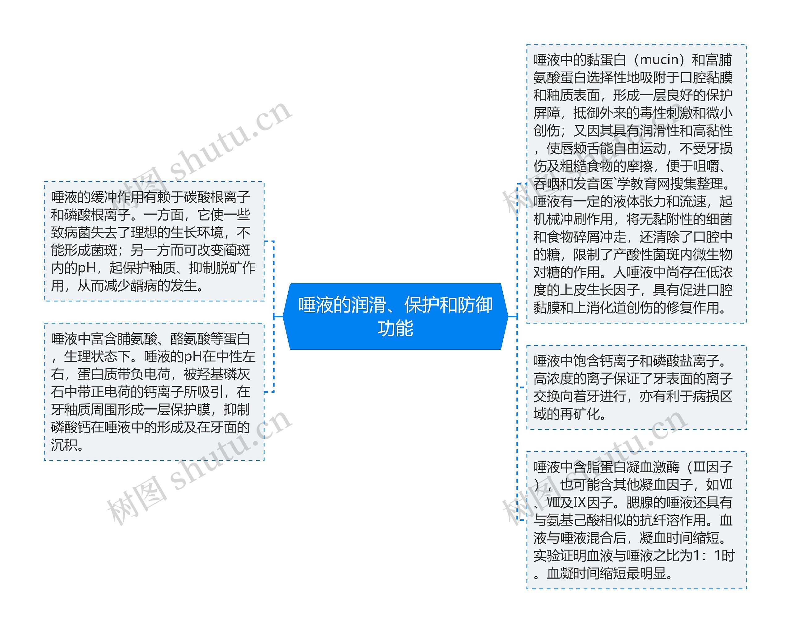 唾液的润滑、保护和防御功能思维导图