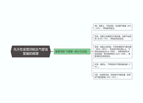 先天性食管闭锁及气管食管瘘的病理