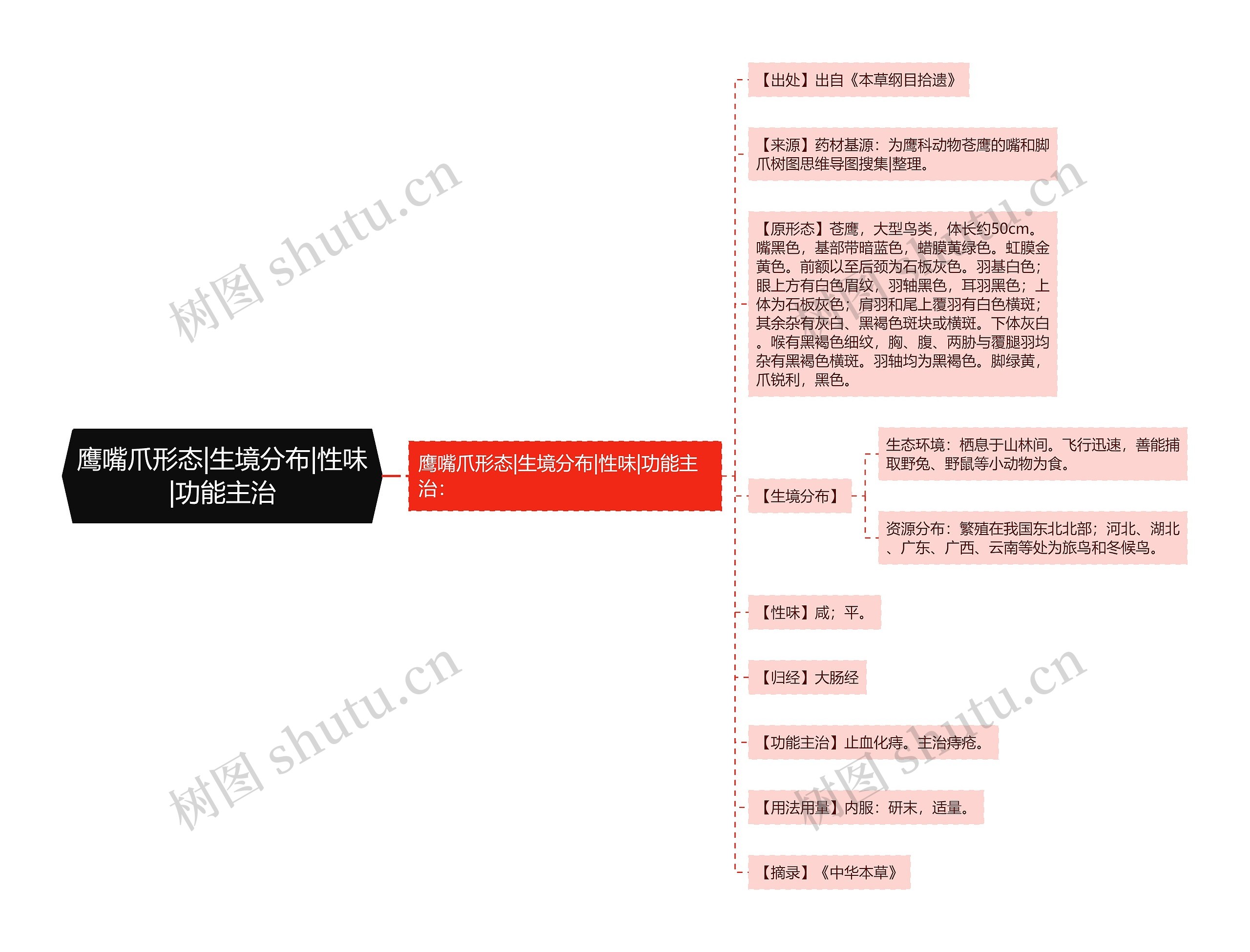 鹰嘴爪形态|生境分布|性味|功能主治思维导图