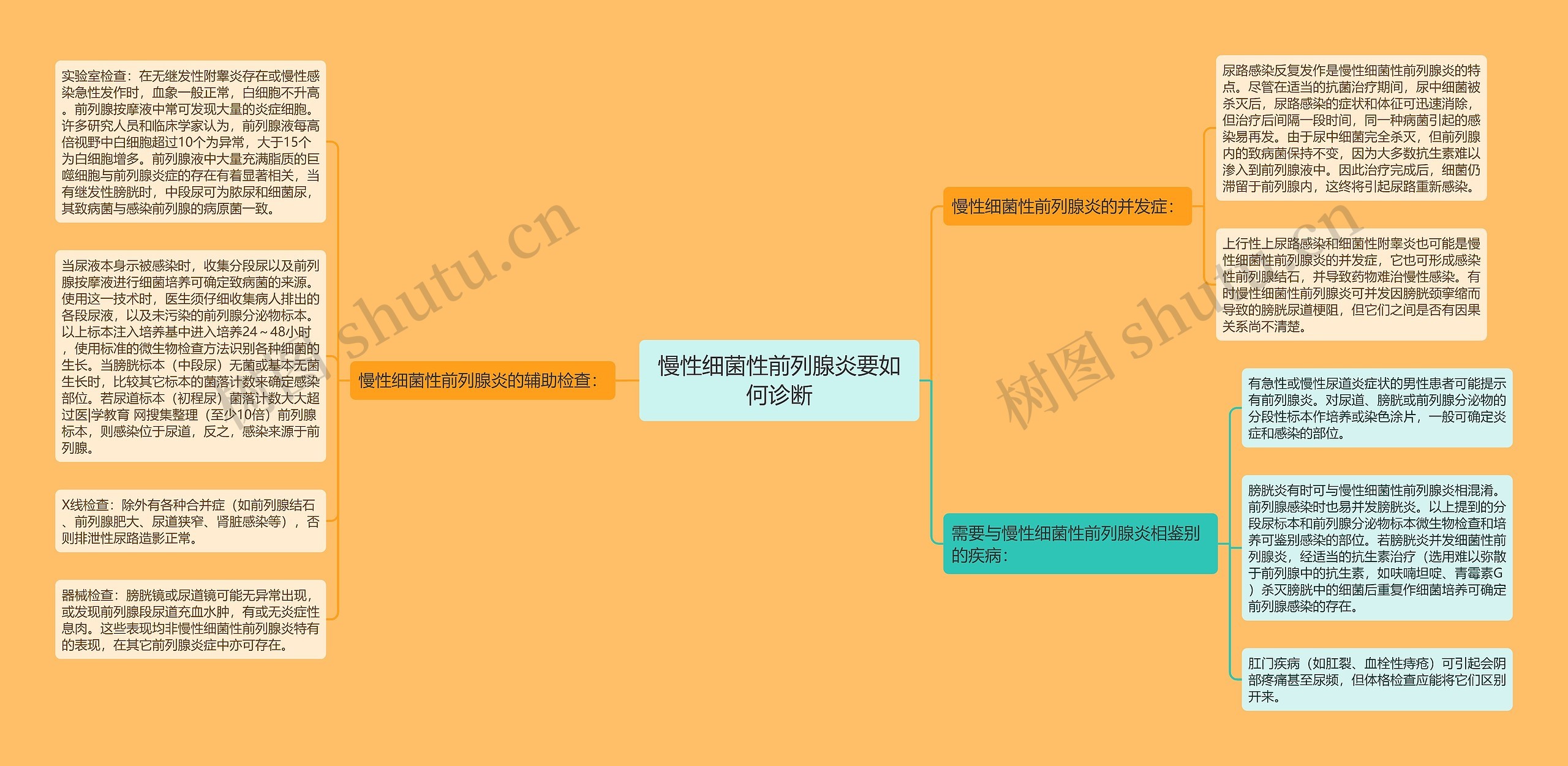 慢性细菌性前列腺炎要如何诊断思维导图