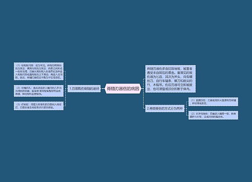 脊髓刃器伤的病因