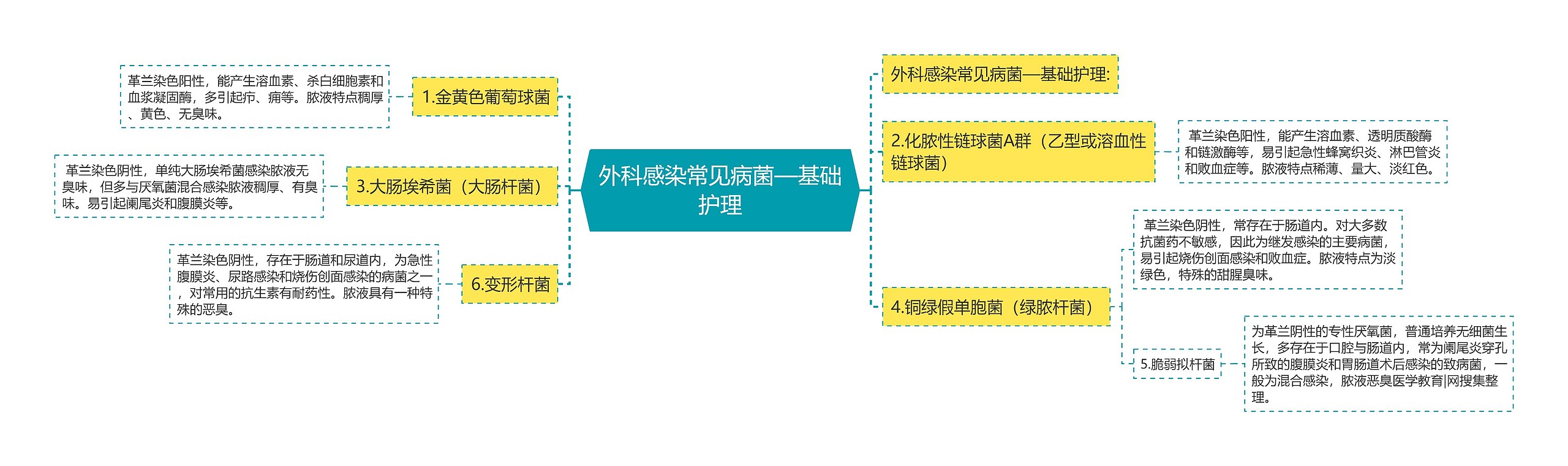 外科感染常见病菌—基础护理