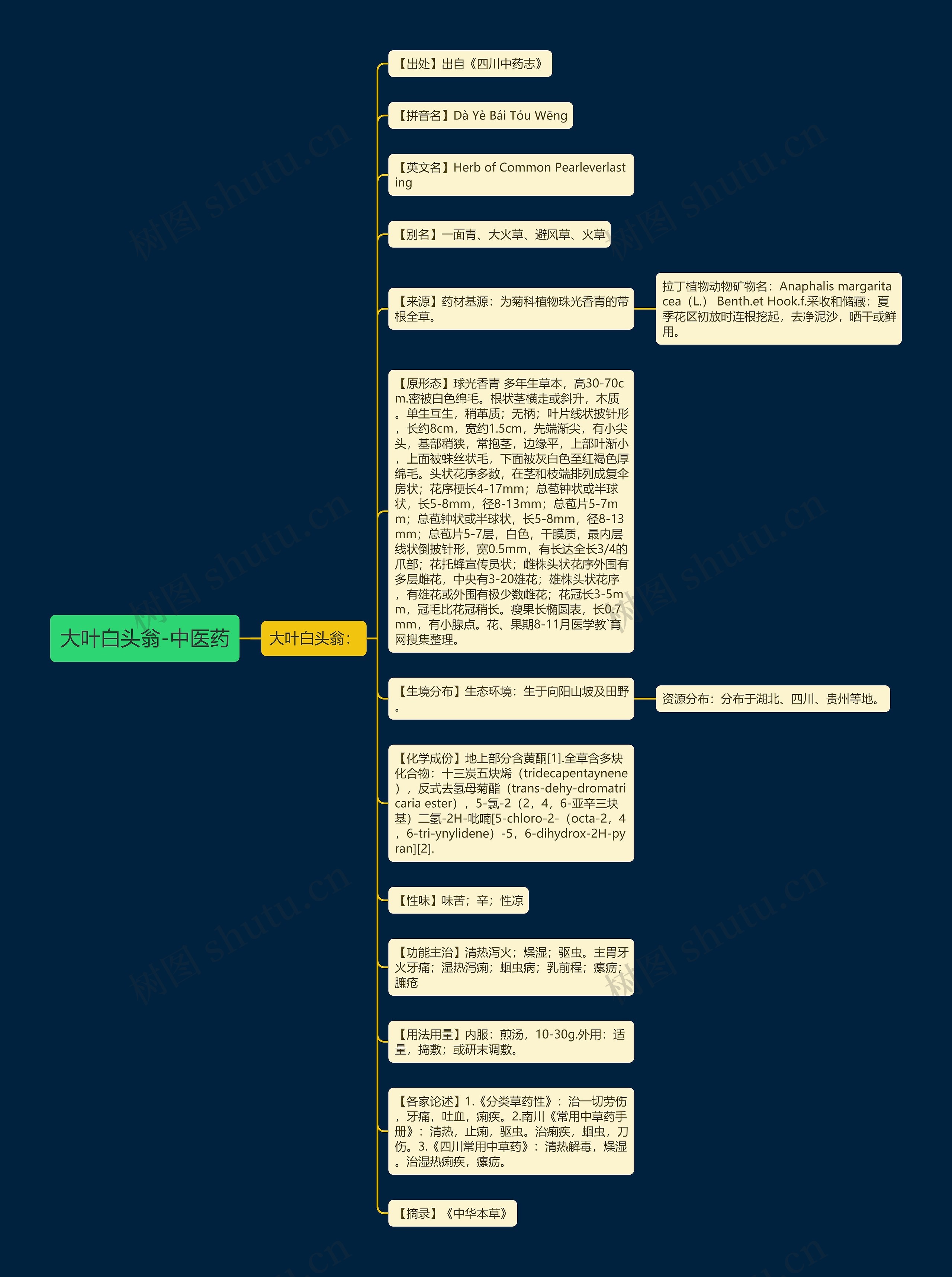 大叶白头翁-中医药思维导图