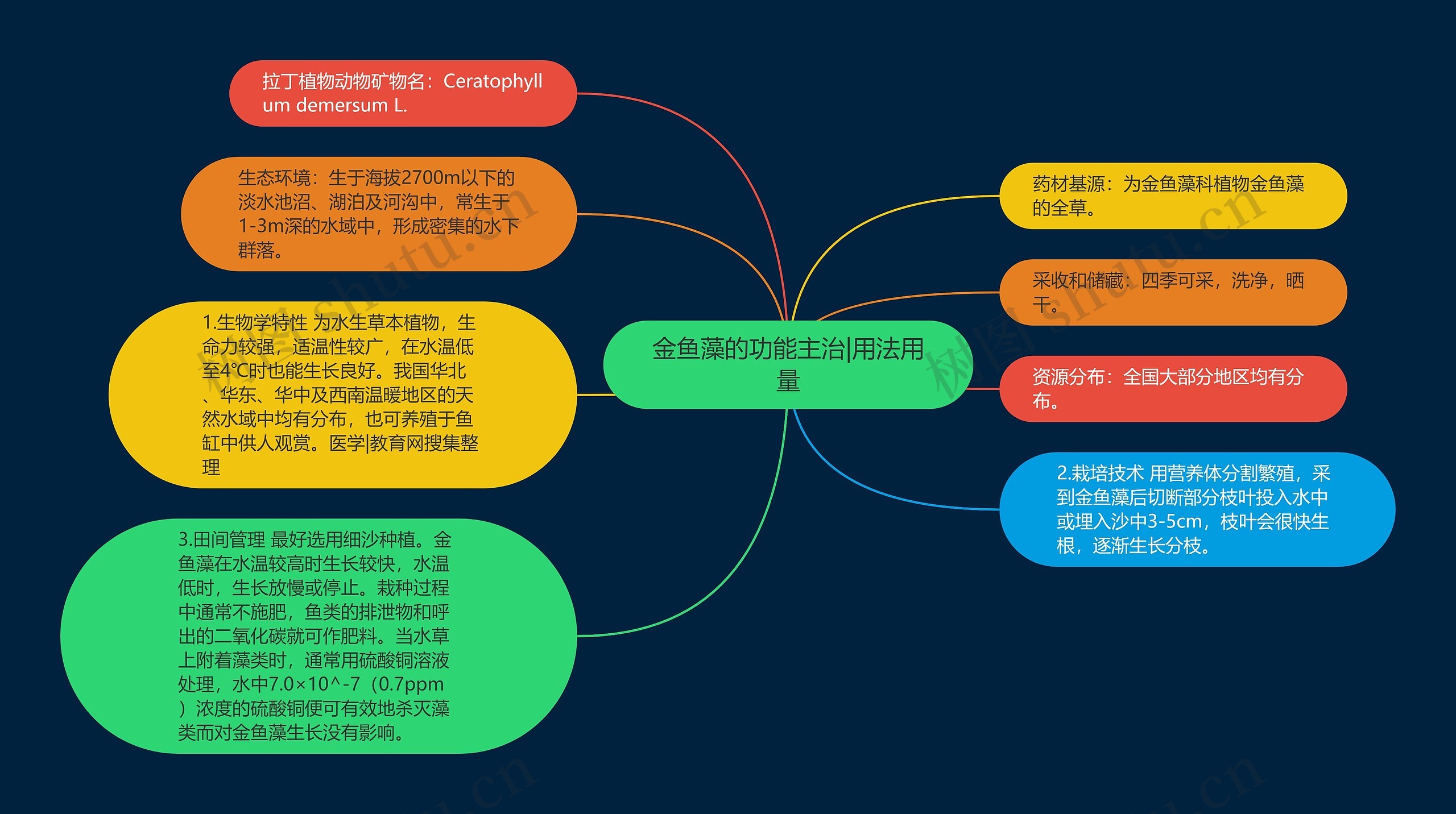 金鱼藻的功能主治|用法用量思维导图