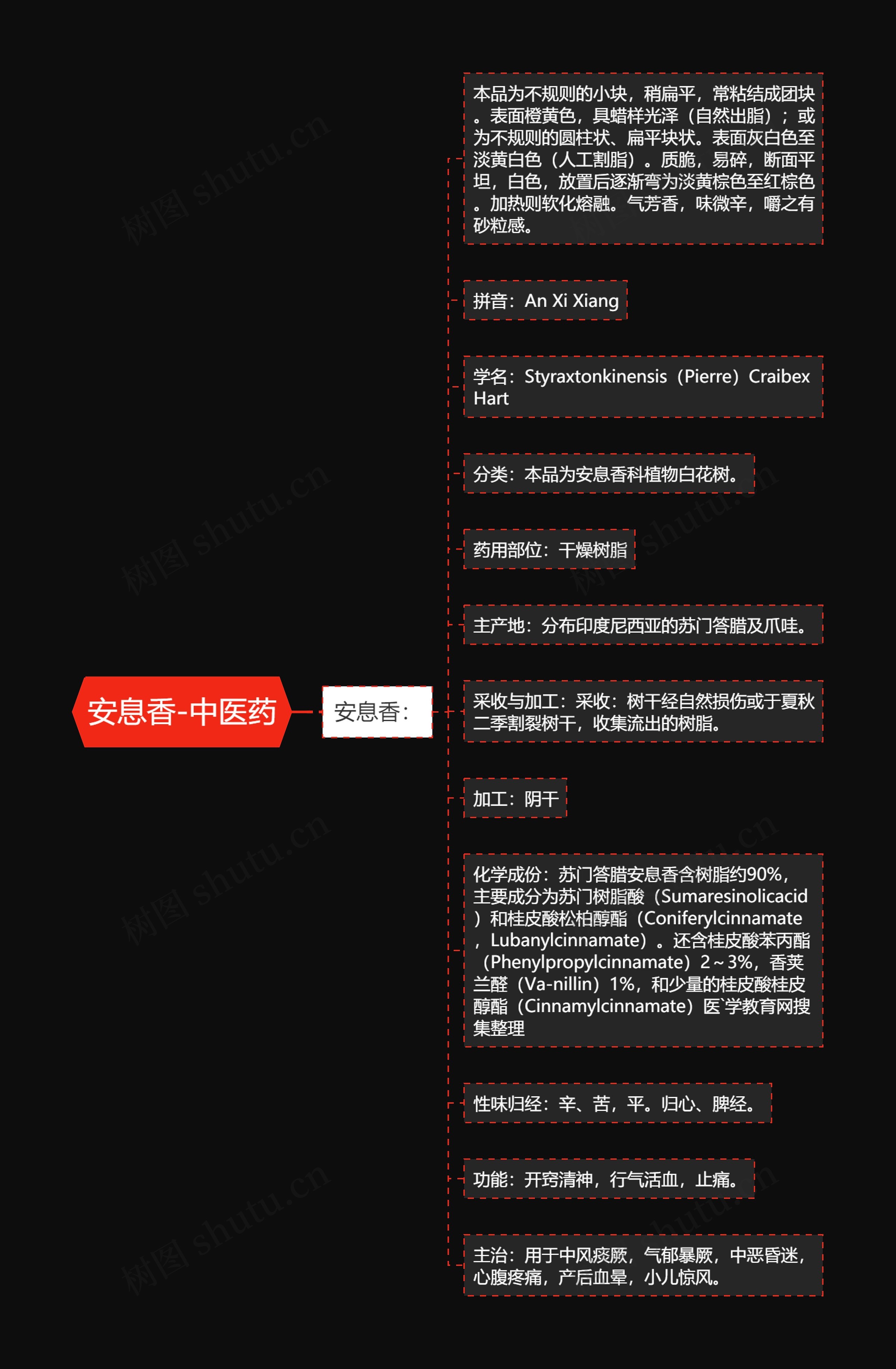 安息香-中医药 安息香-中医药