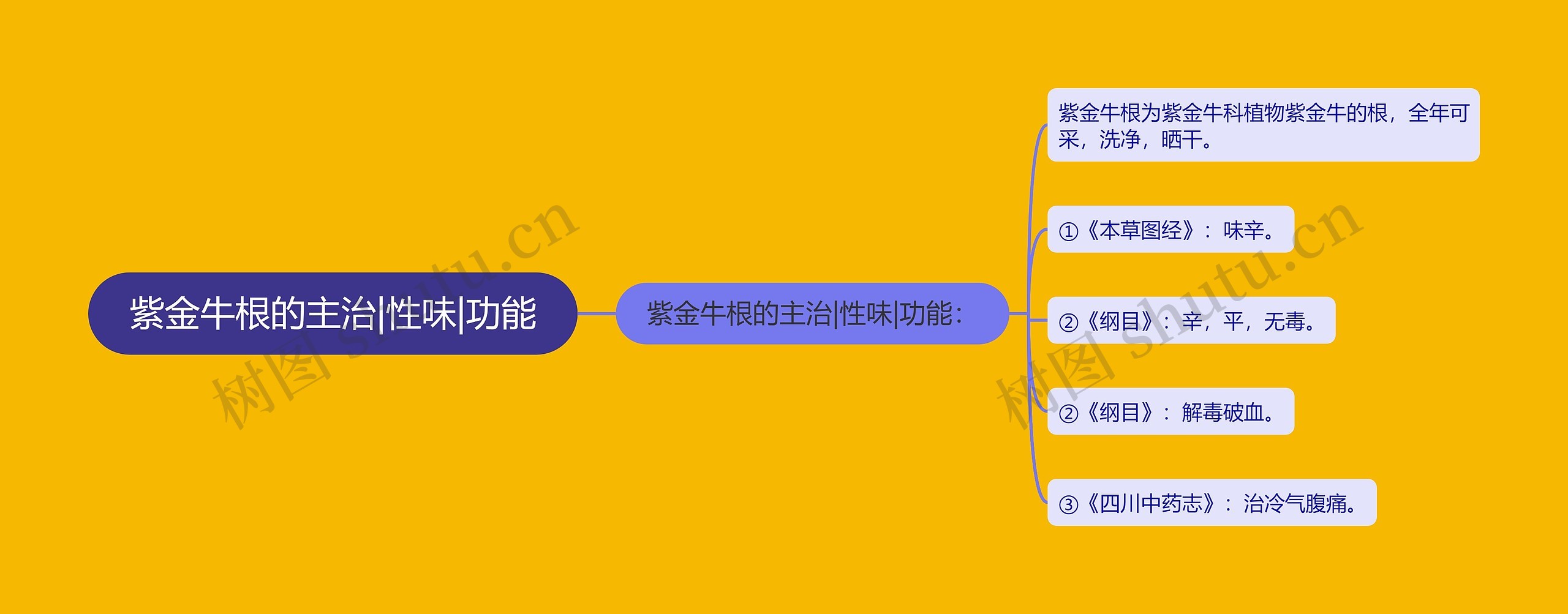 紫金牛根的主治|性味|功能思维导图