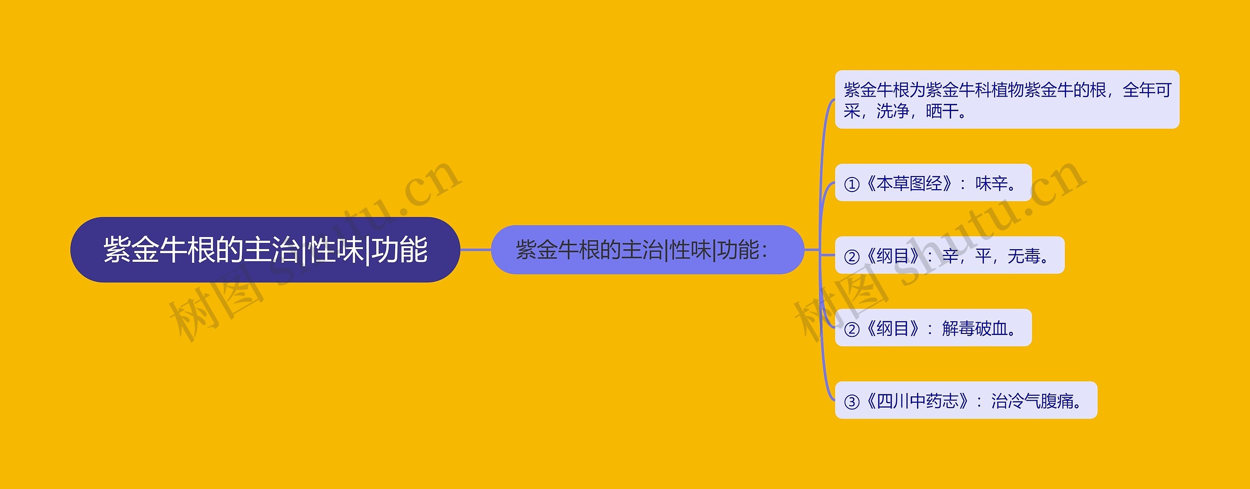 紫金牛根的主治|性味|功能 紫金牛根的主治|性味|功能
