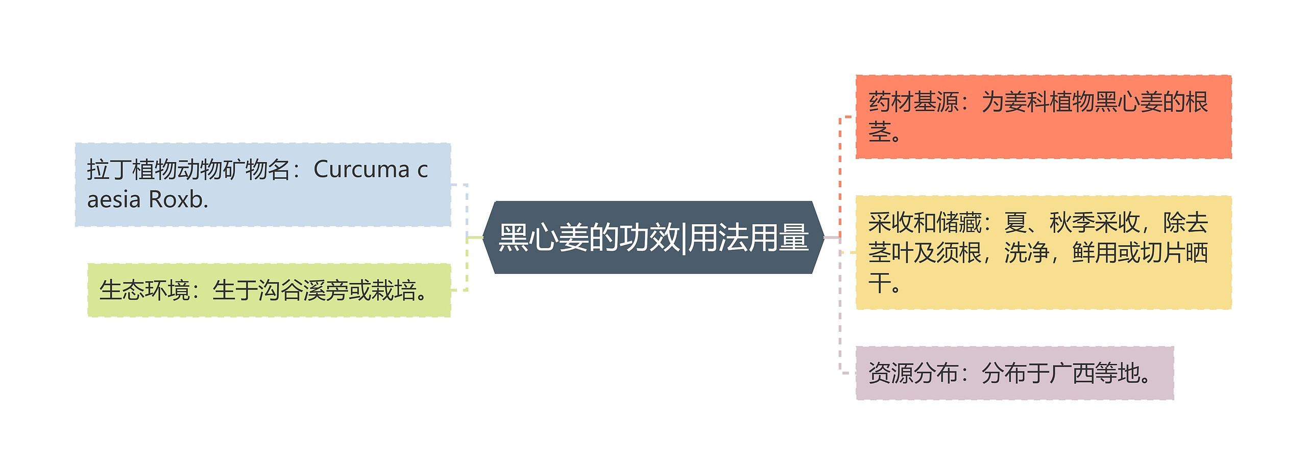 黑心姜的功效|用法用量思维导图