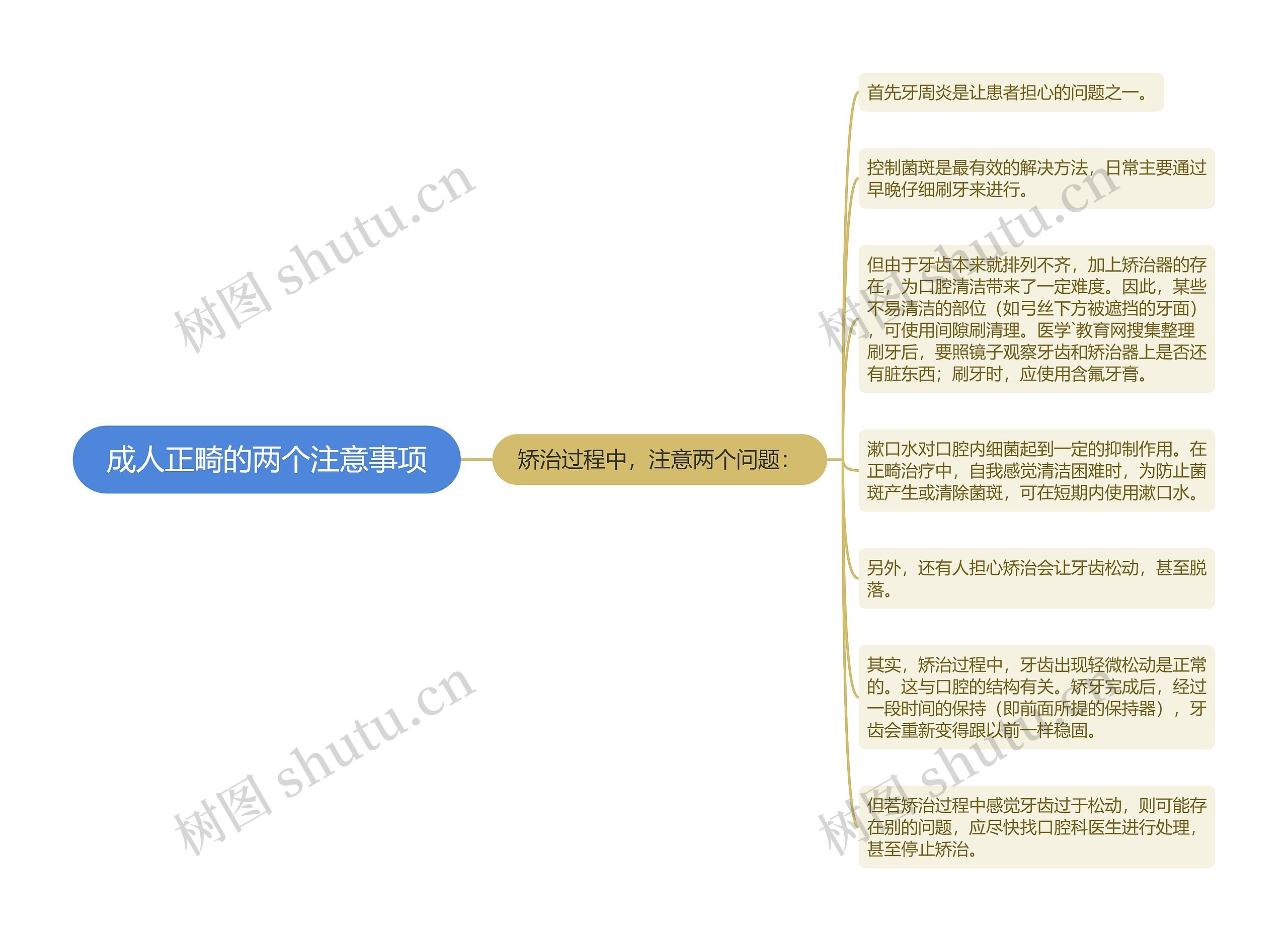 成人正畸的两个注意事项思维导图