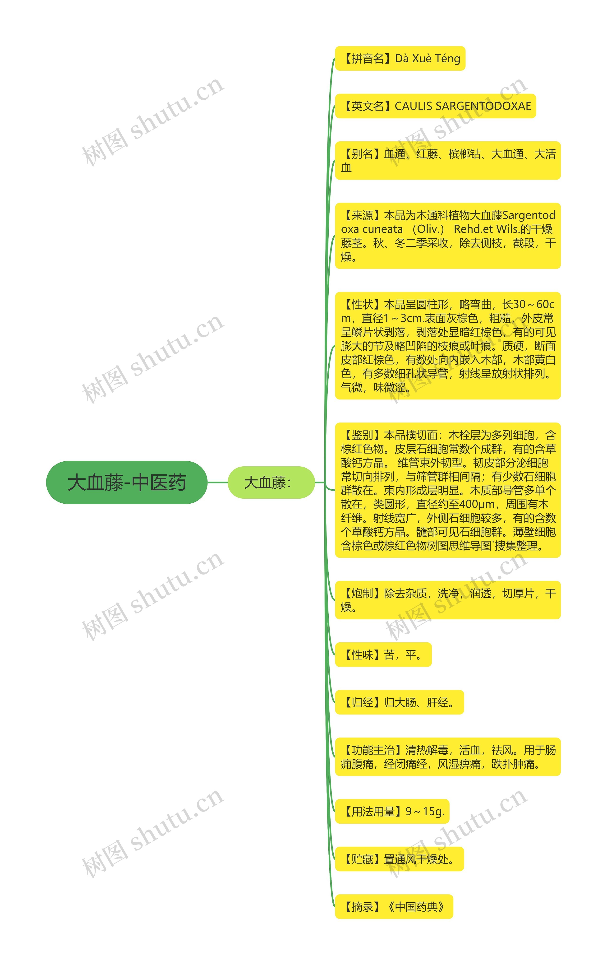 大血藤-中医药 大血藤-中医药