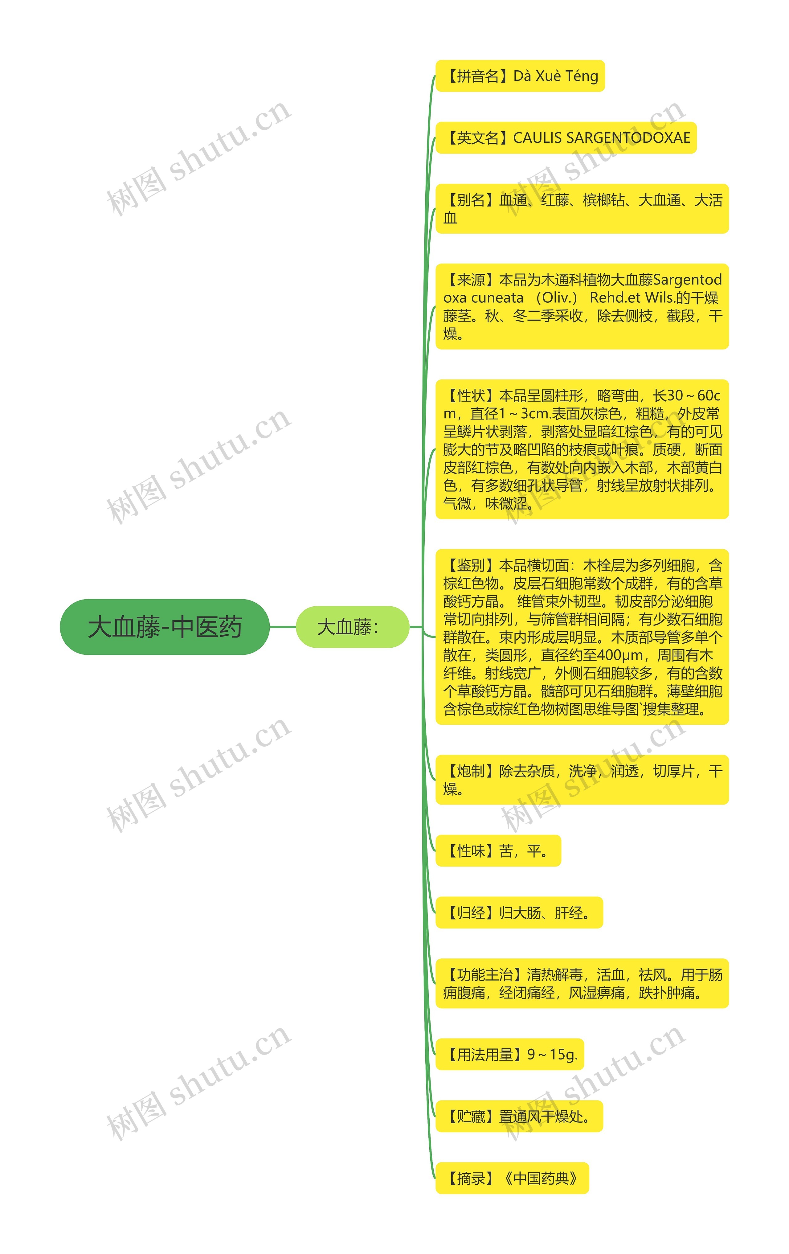 大血藤-中医药思维导图