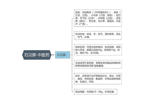 石见穿-中医药