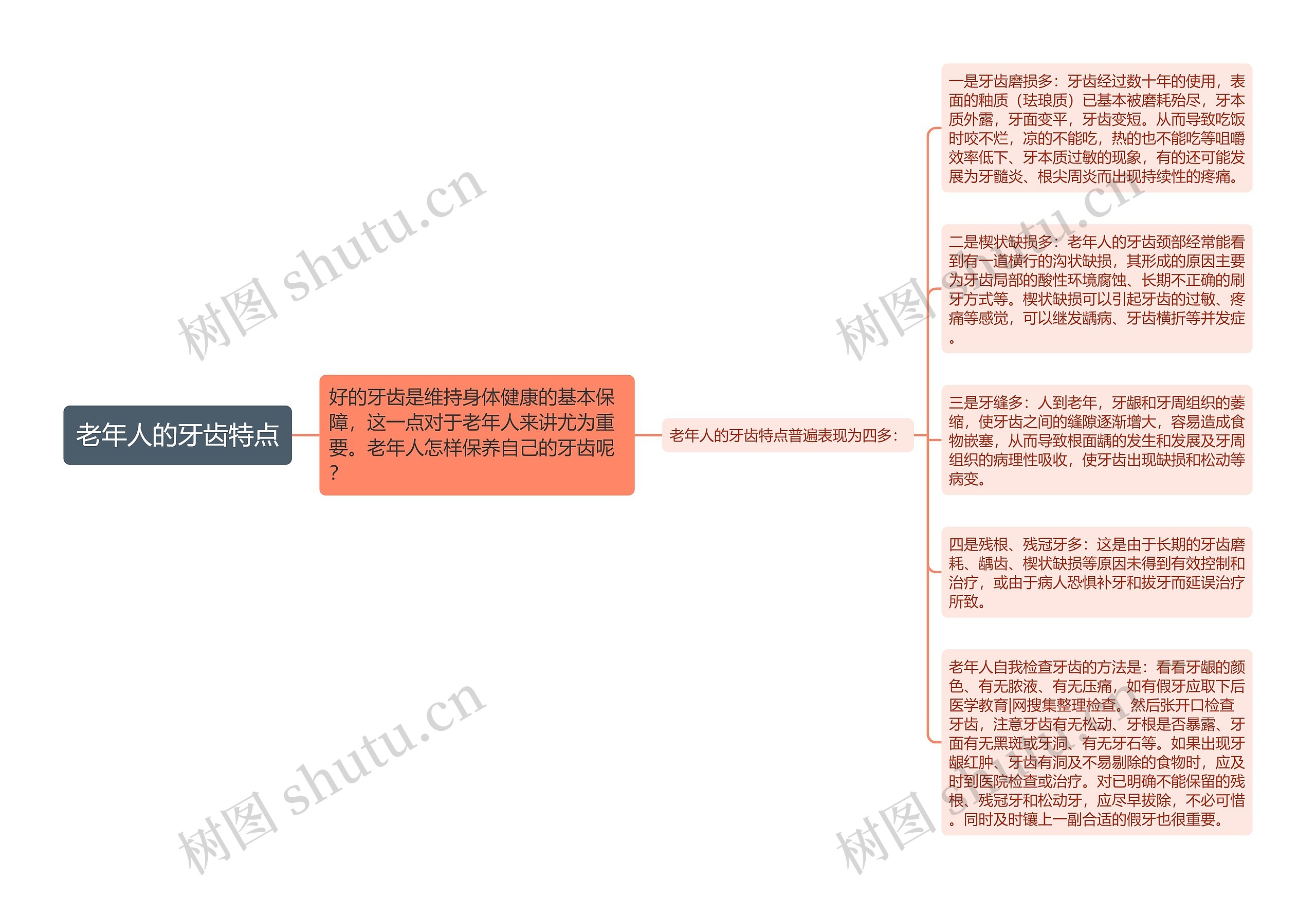 老年人的牙齿特点