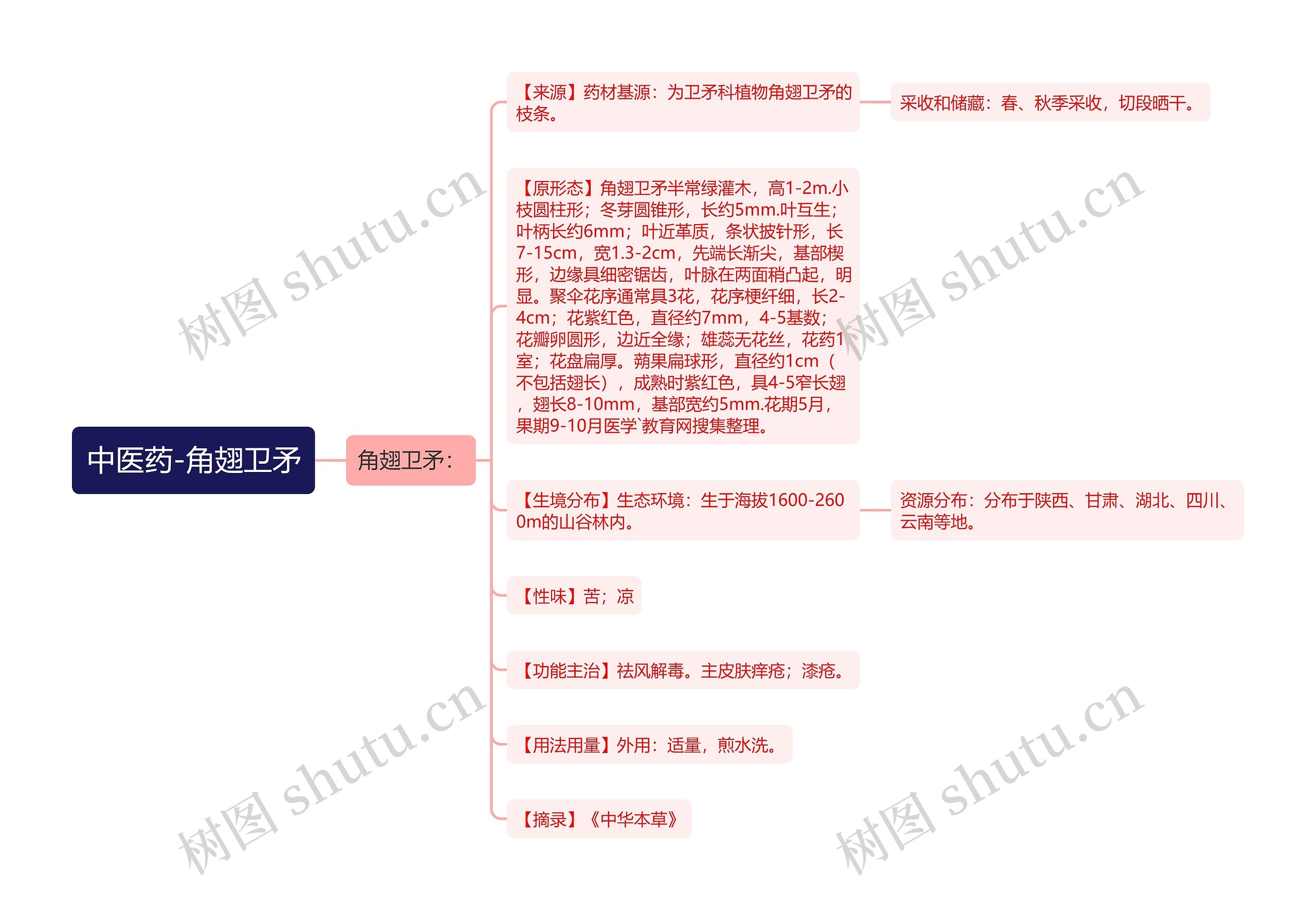 中医药-角翅卫矛 中医药-角翅卫矛