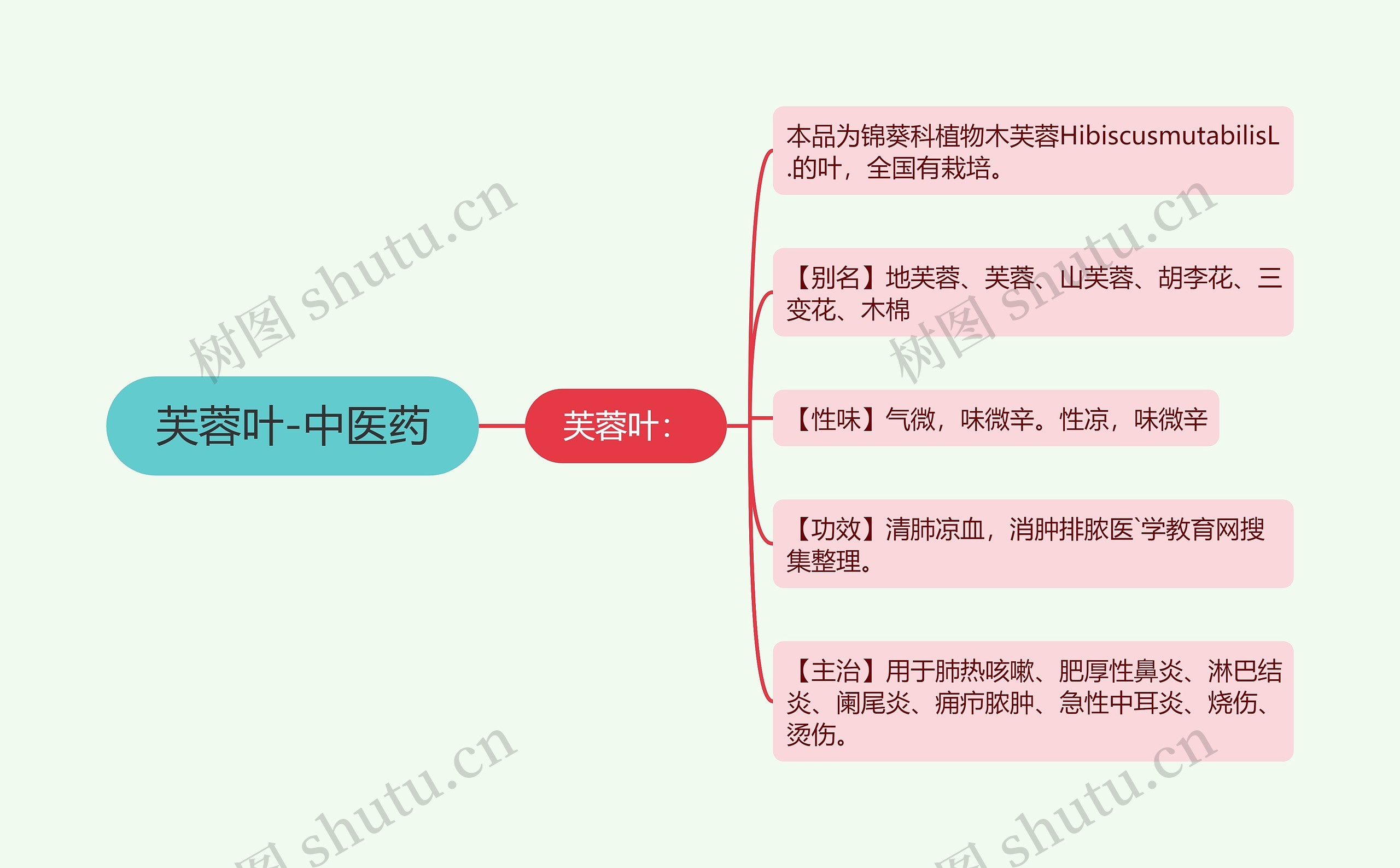 芙蓉叶-中医药 芙蓉叶-中医药