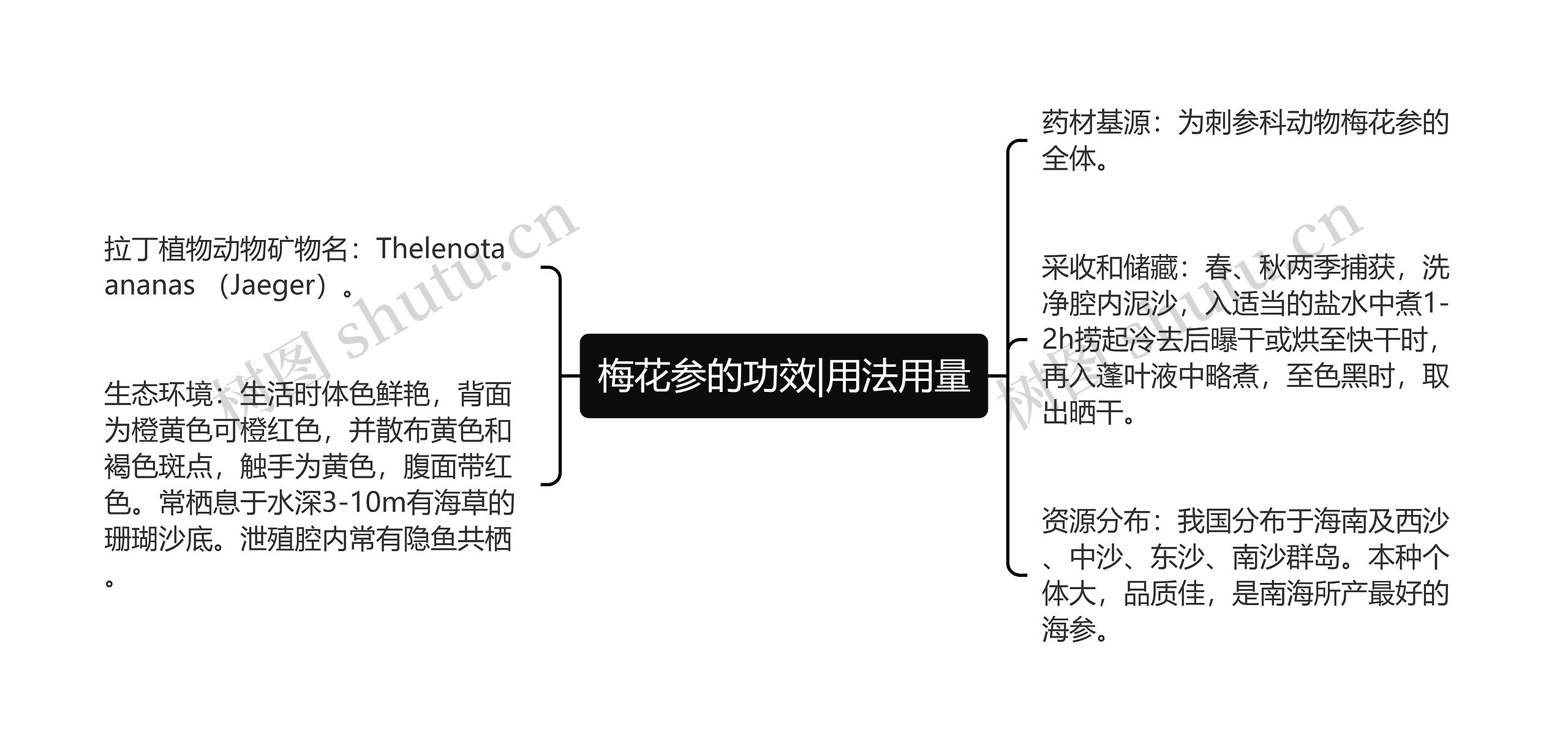 梅花参的功效|用法用量思维导图