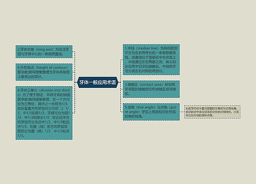 牙体一般应用术语