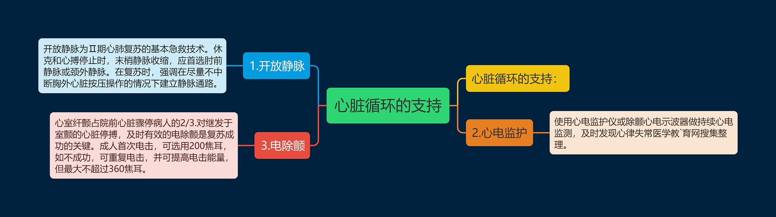 心脏循环的支持思维导图