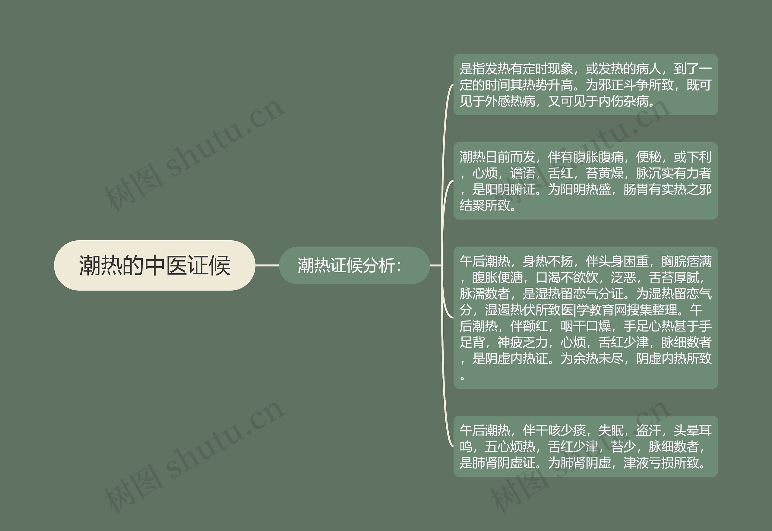 潮热的中医证候思维导图