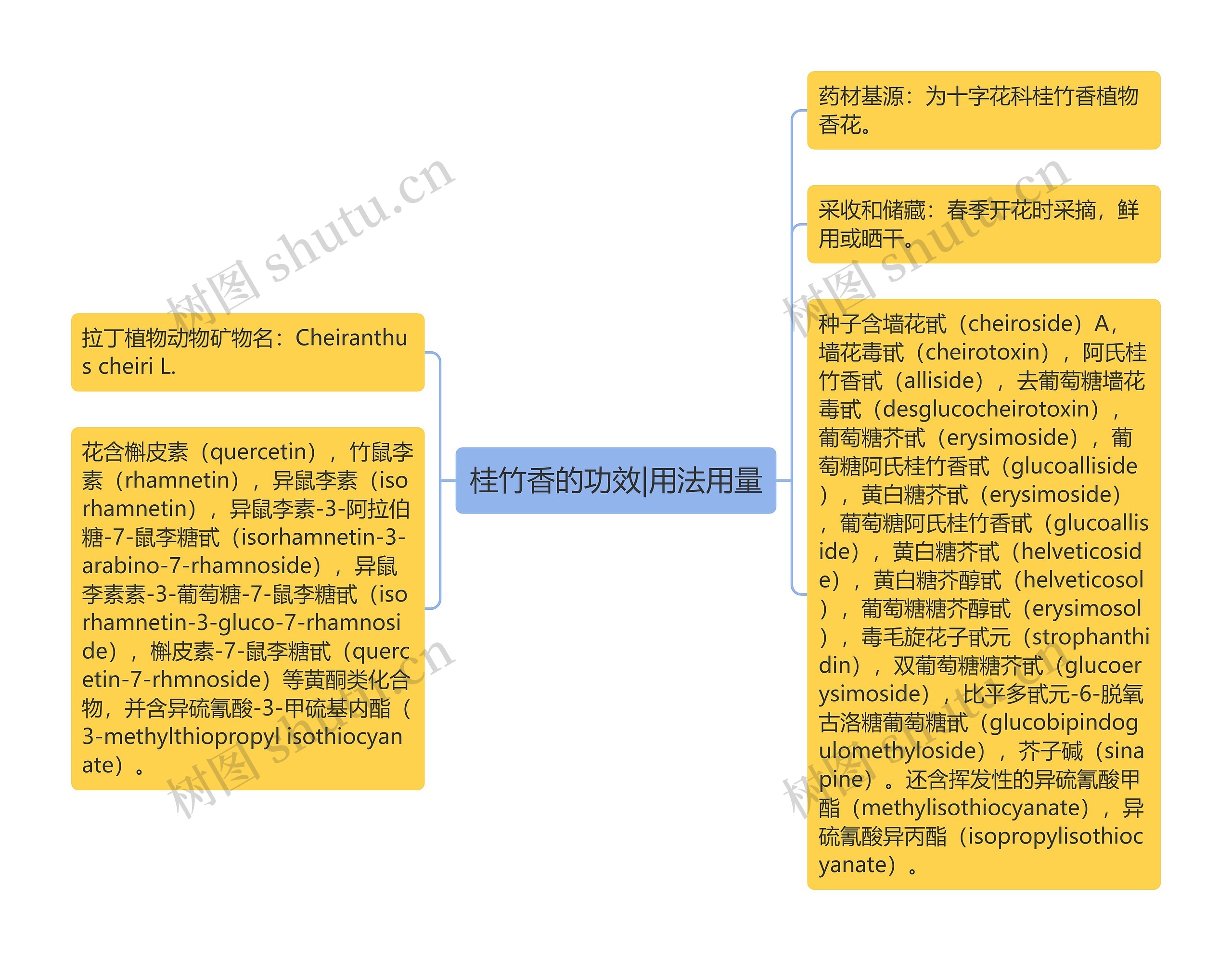 桂竹香的功效|用法用量思维导图