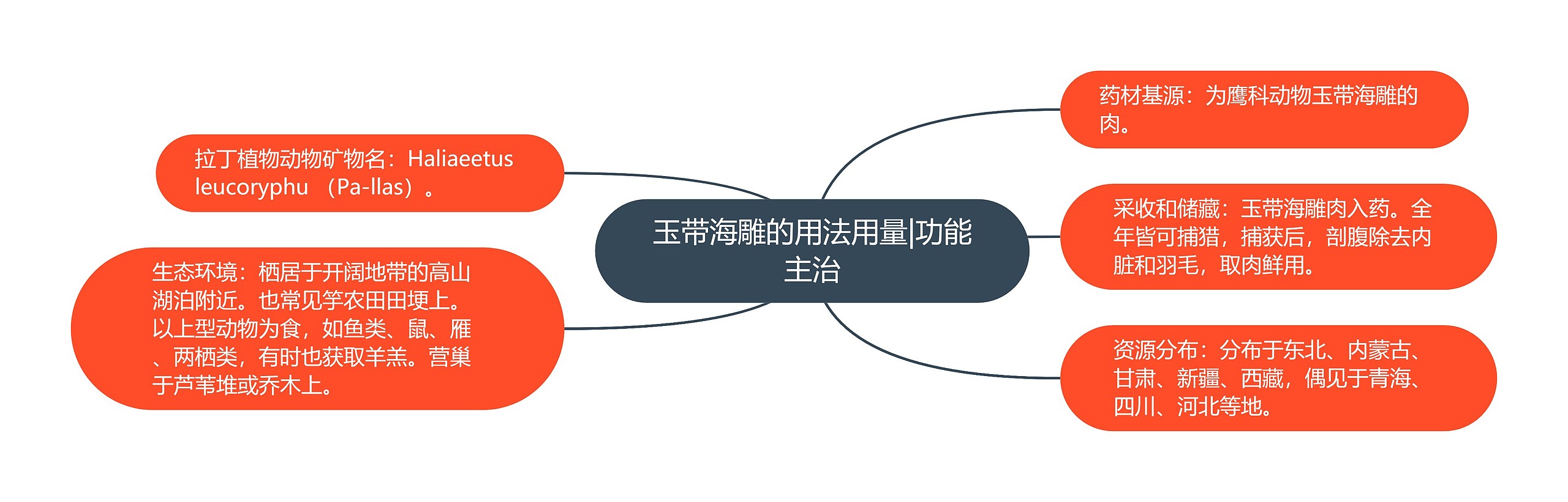 玉带海雕的用法用量|功能主治