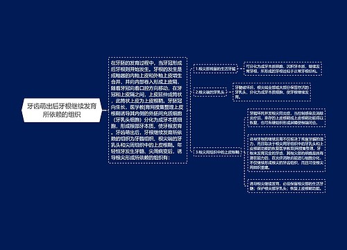 牙齿萌出后牙根继续发育所依赖的组织