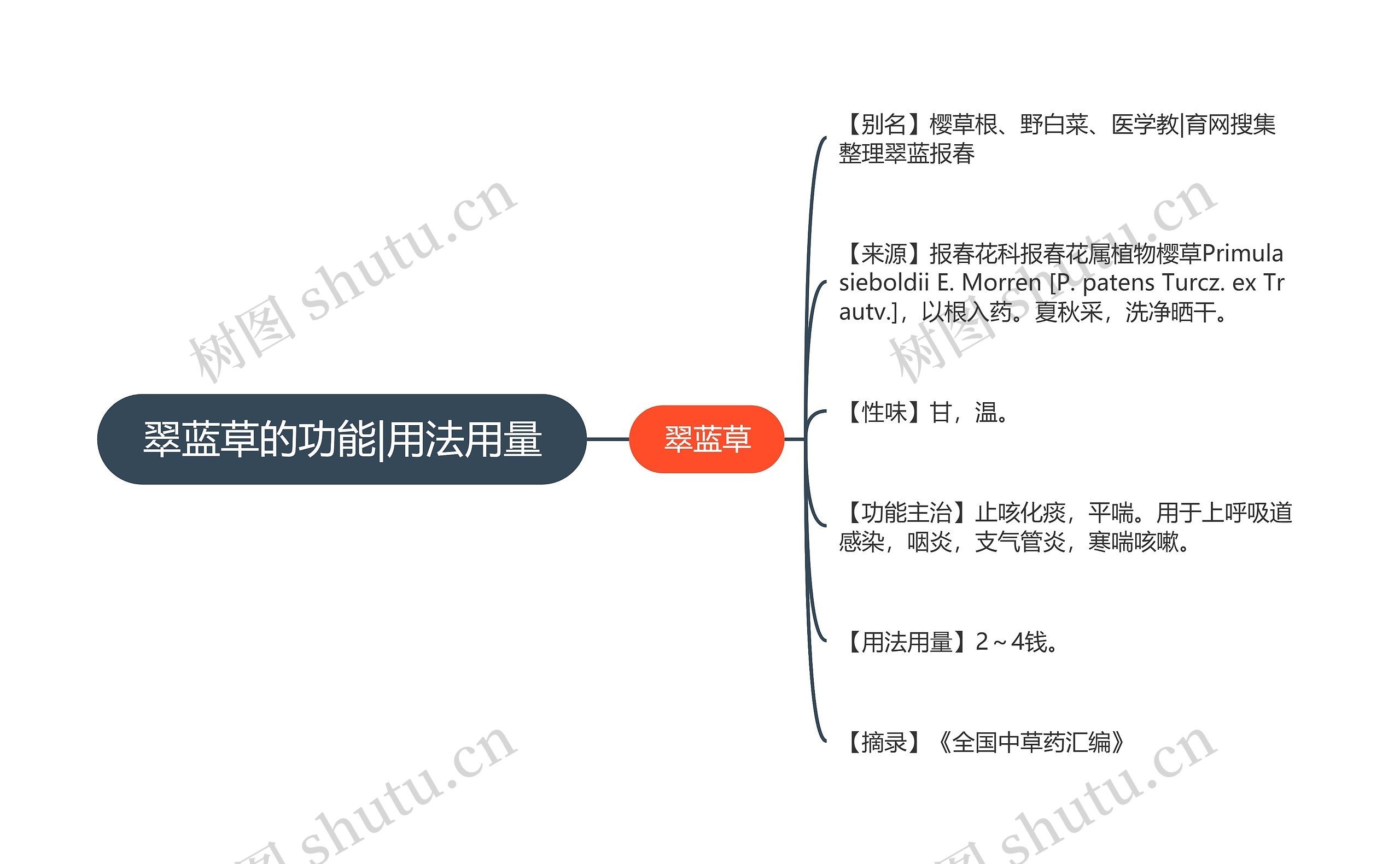 翠蓝草的功能|用法用量思维导图