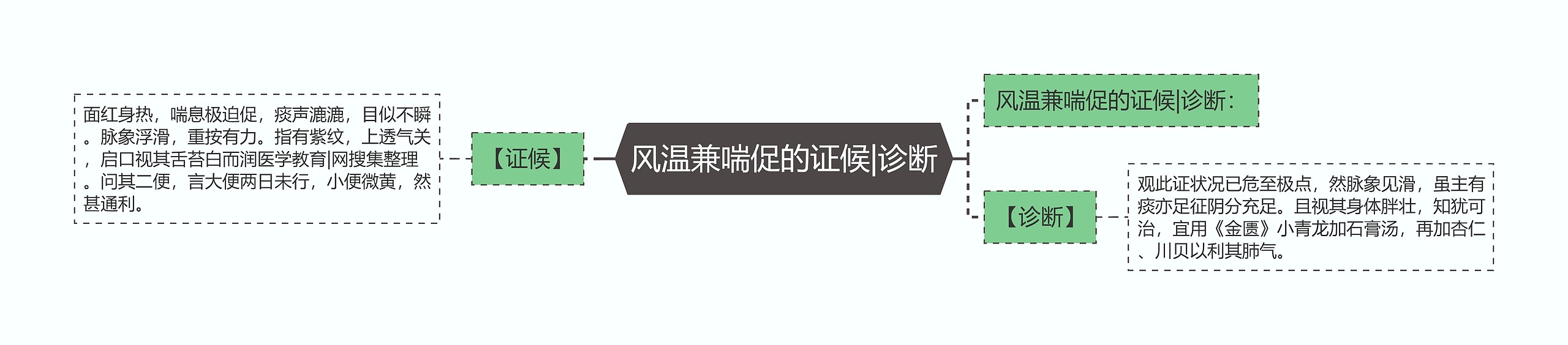 风温兼喘促的证候|诊断思维导图