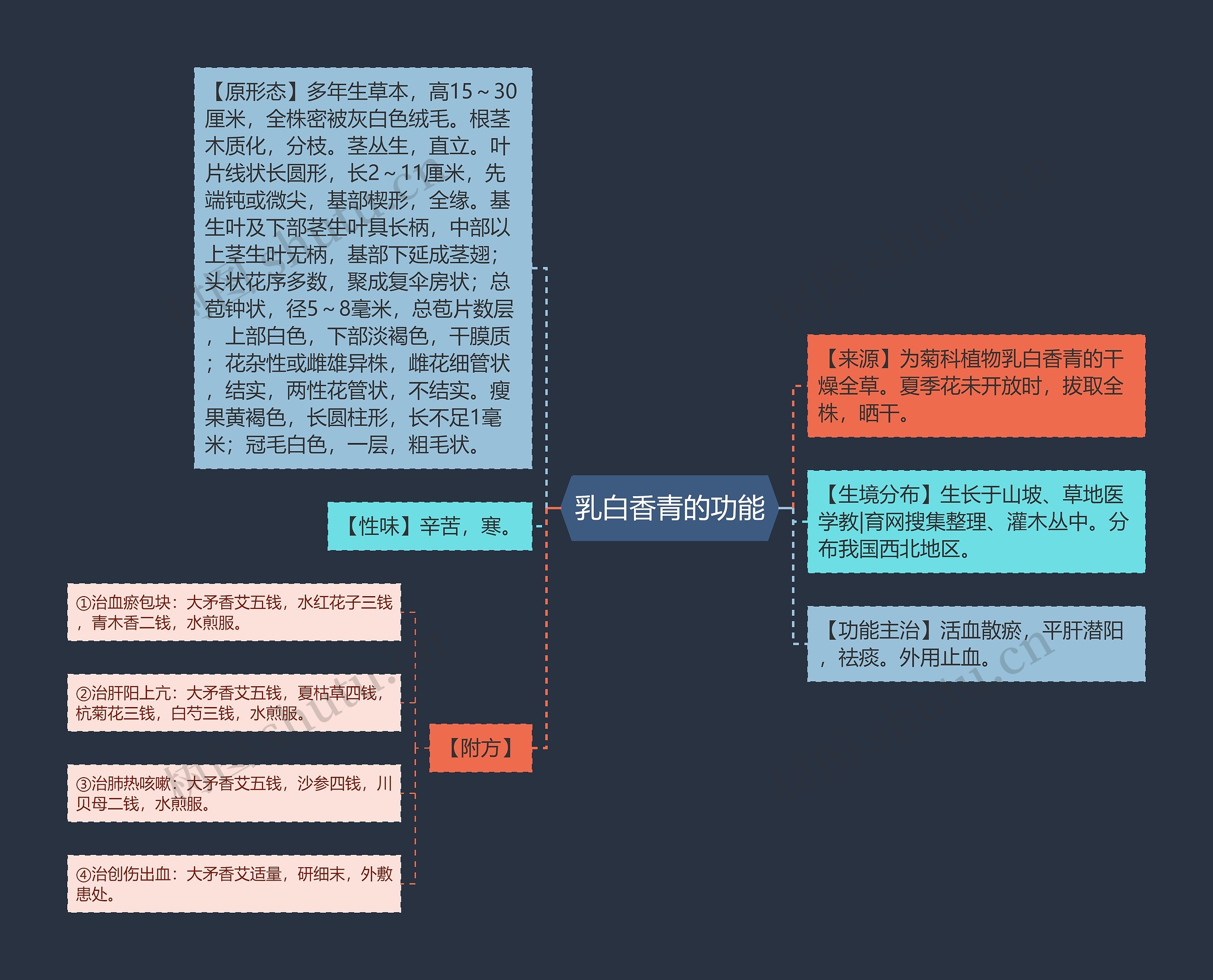 乳白香青的功能思维导图