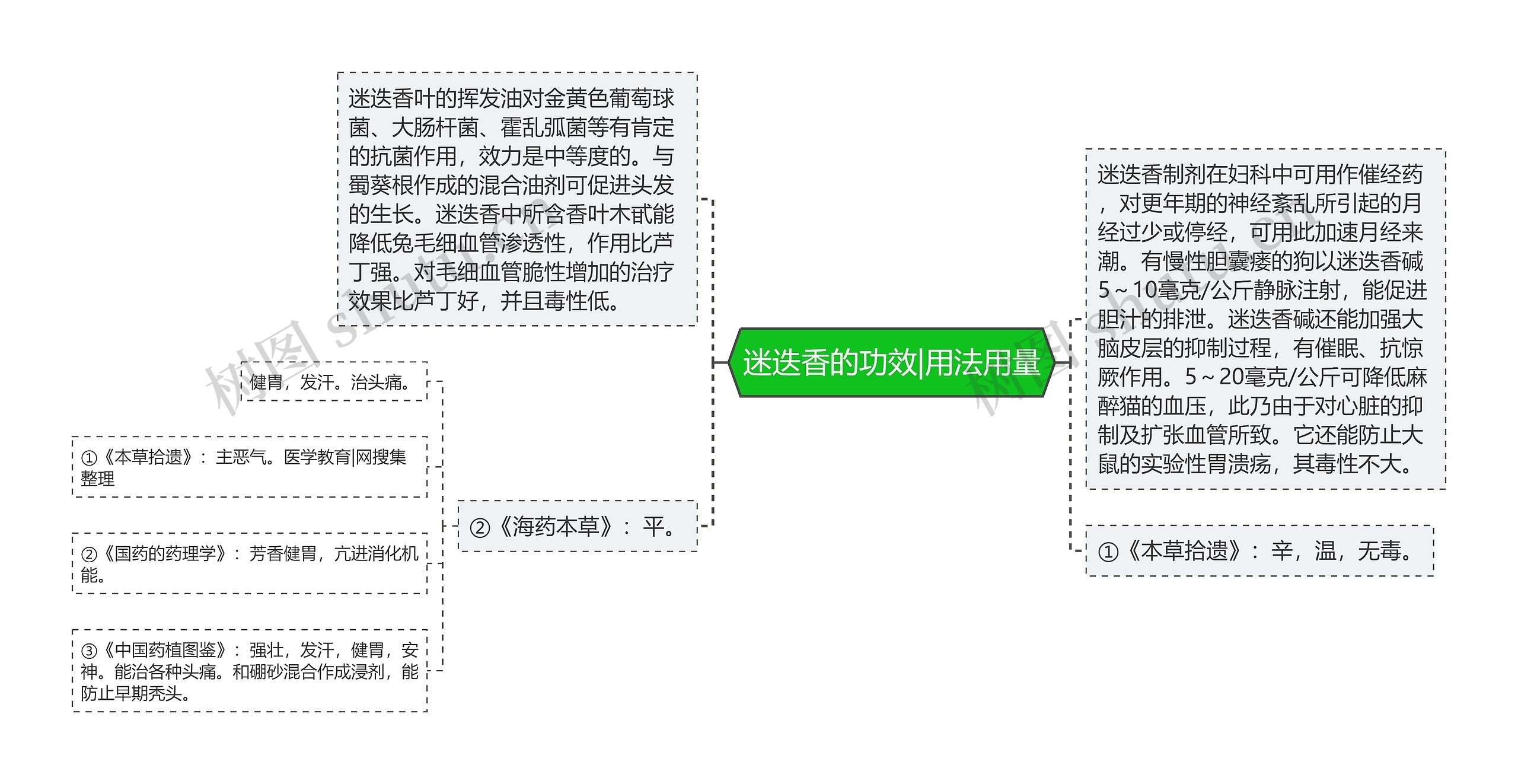 迷迭香的功效|用法用量