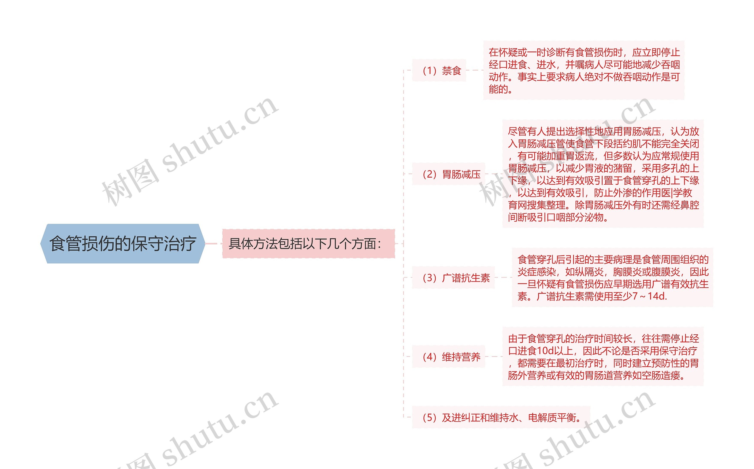 食管损伤的保守治疗思维导图