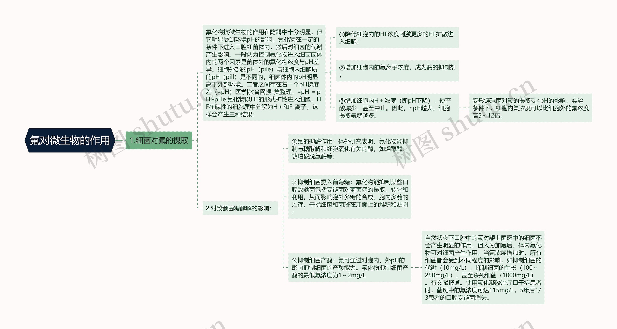 氟对微生物的作用