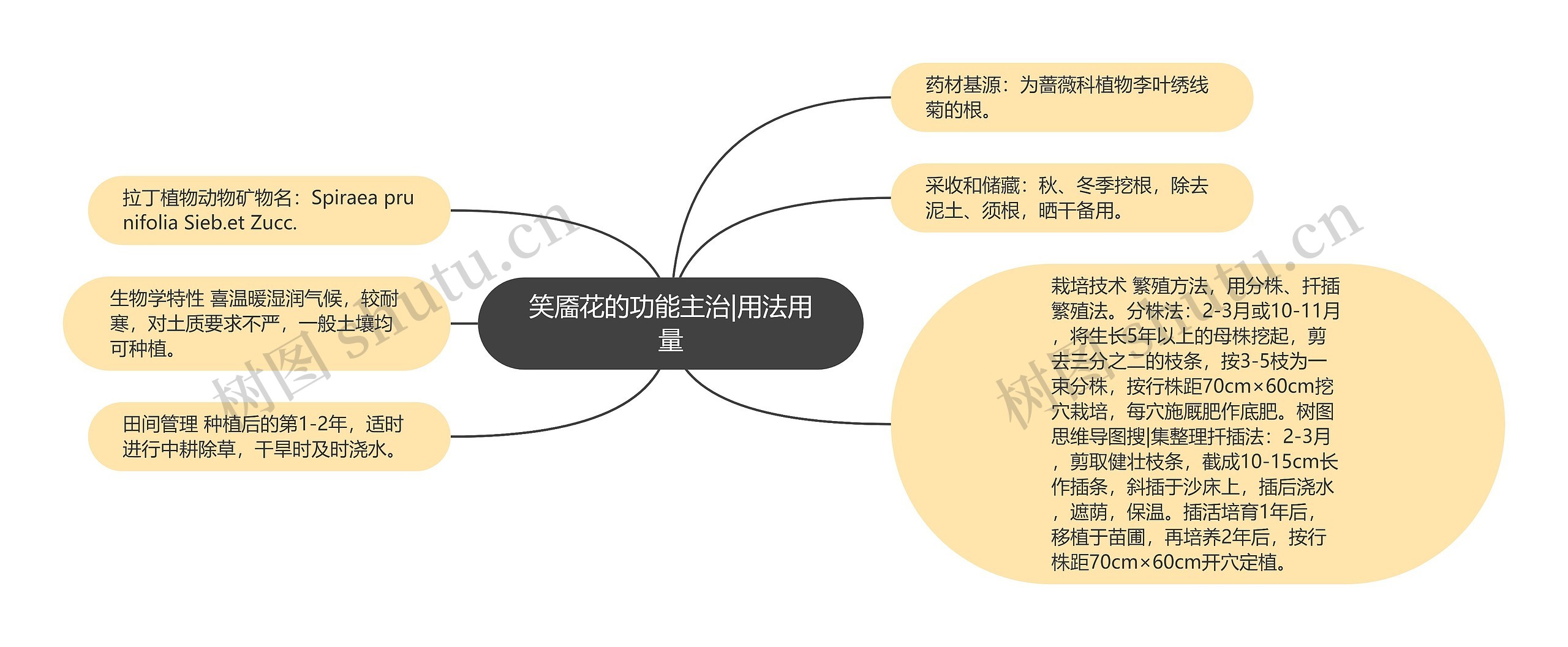 笑靥花的功能主治|用法用量思维导图