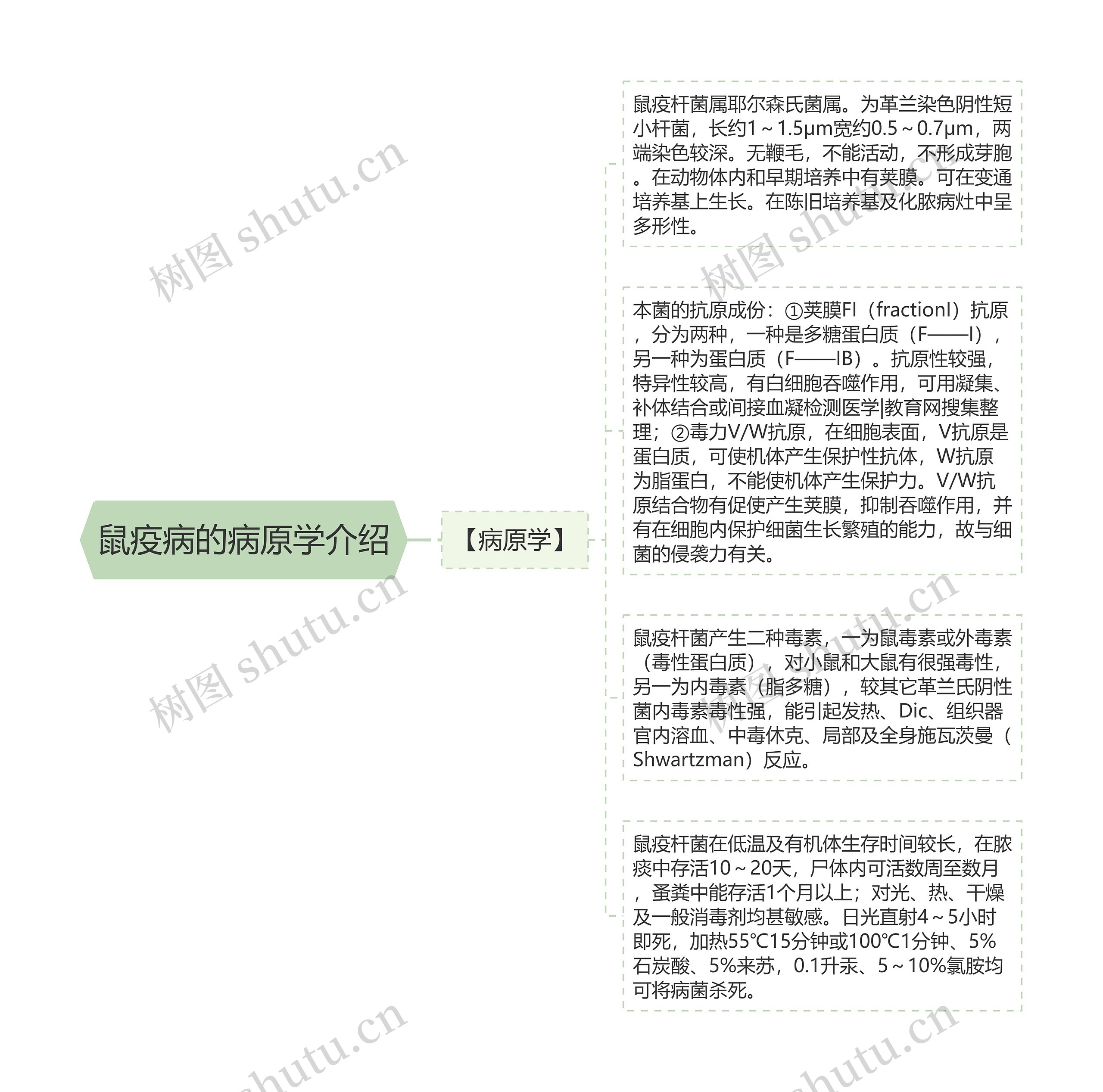 鼠疫病的病原学介绍思维导图高清图 鼠疫病的病原学介绍思维导图