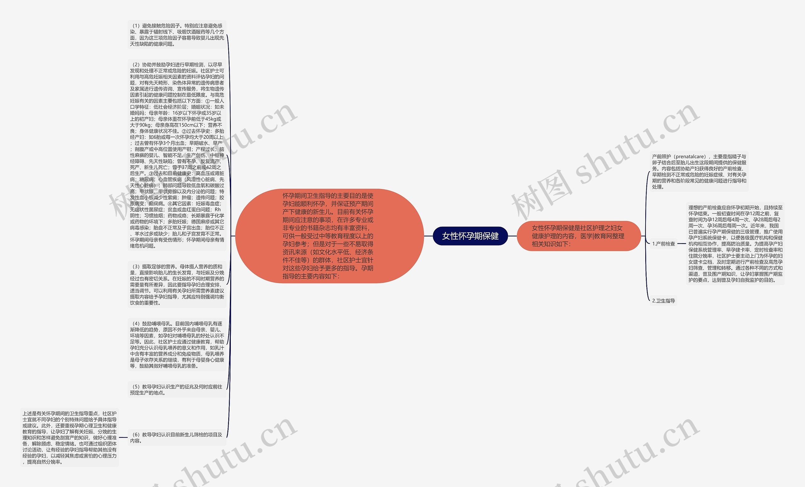 女性怀孕期保健思维导图